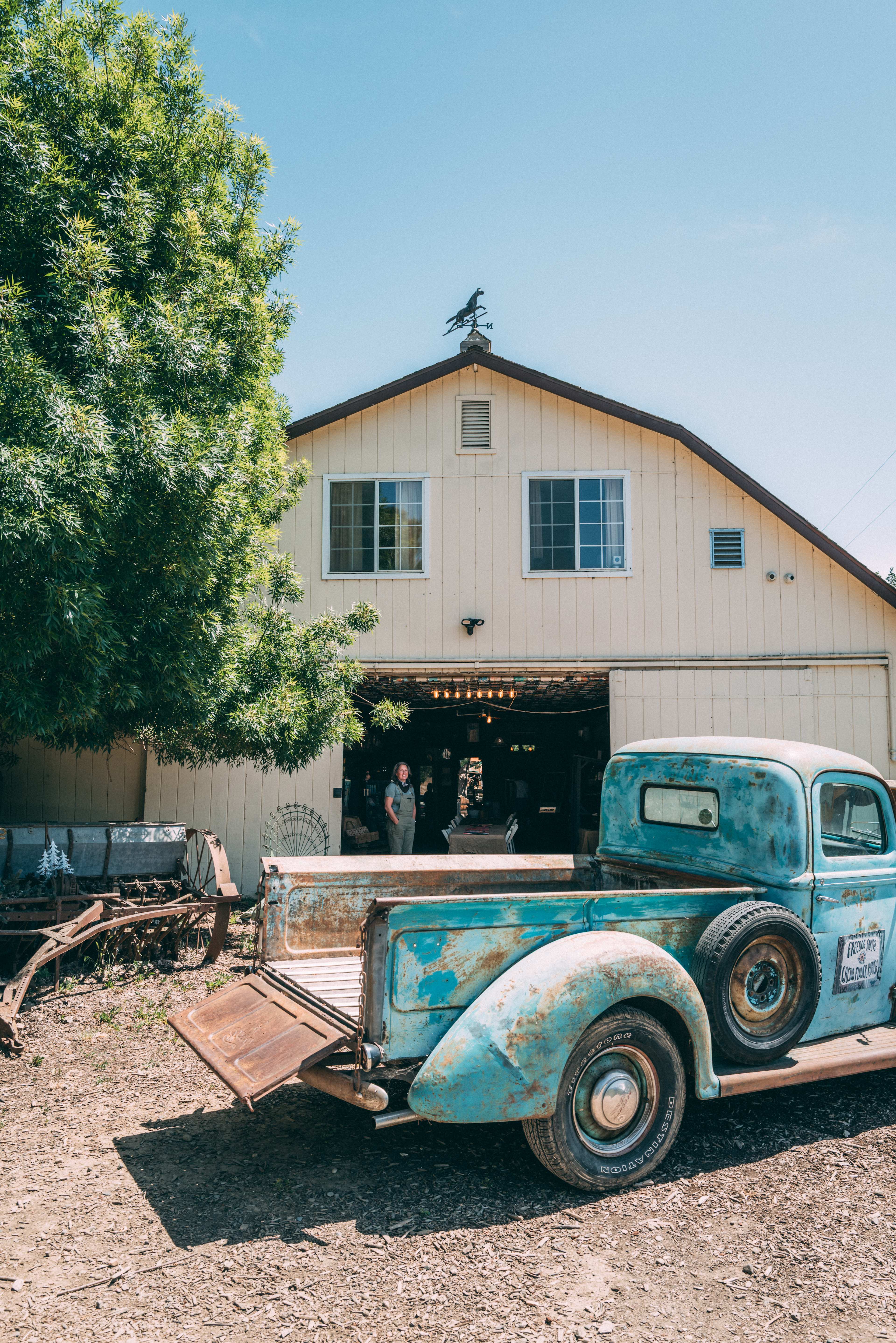 Freedog Farms @ Cactus Flower Ranch