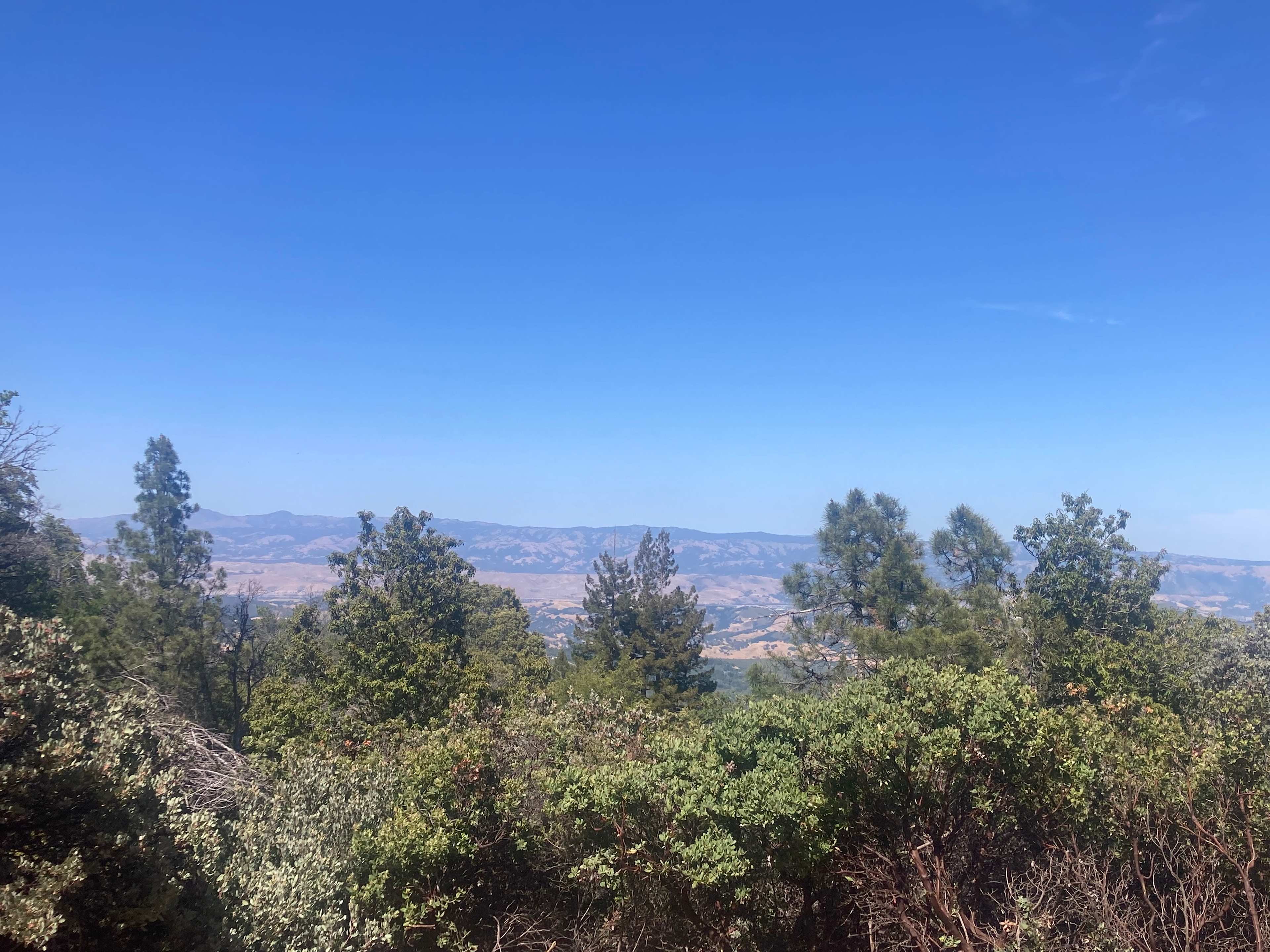 Silicon Valley View