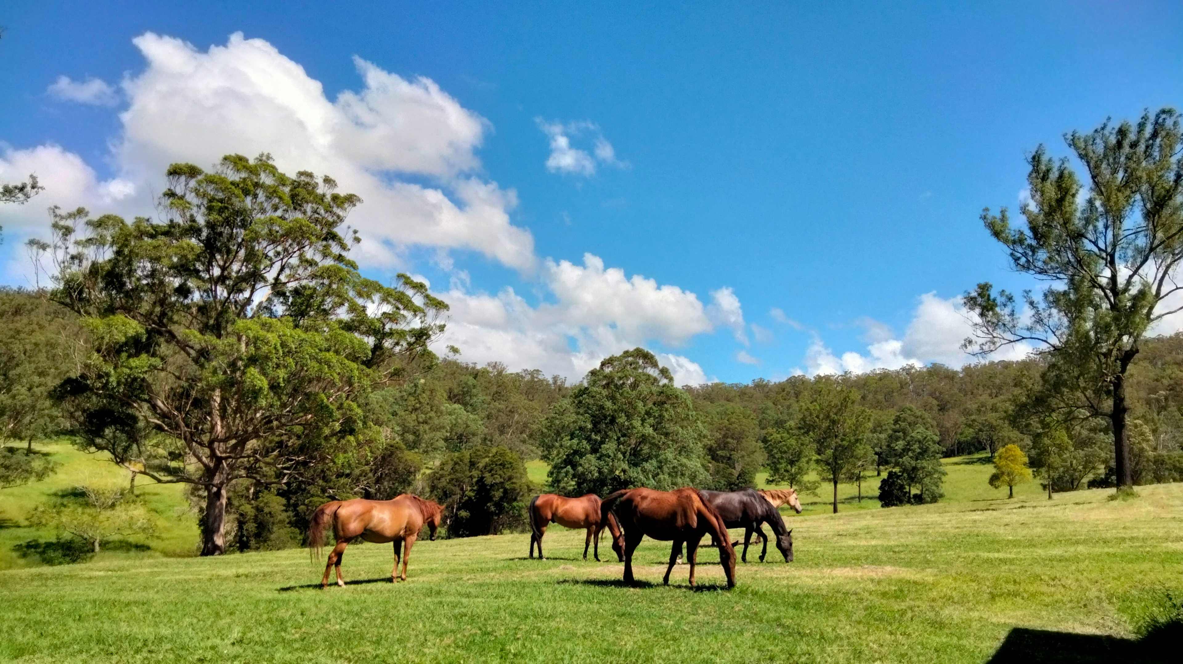 'Peaceful' Mistan Valley Farm
