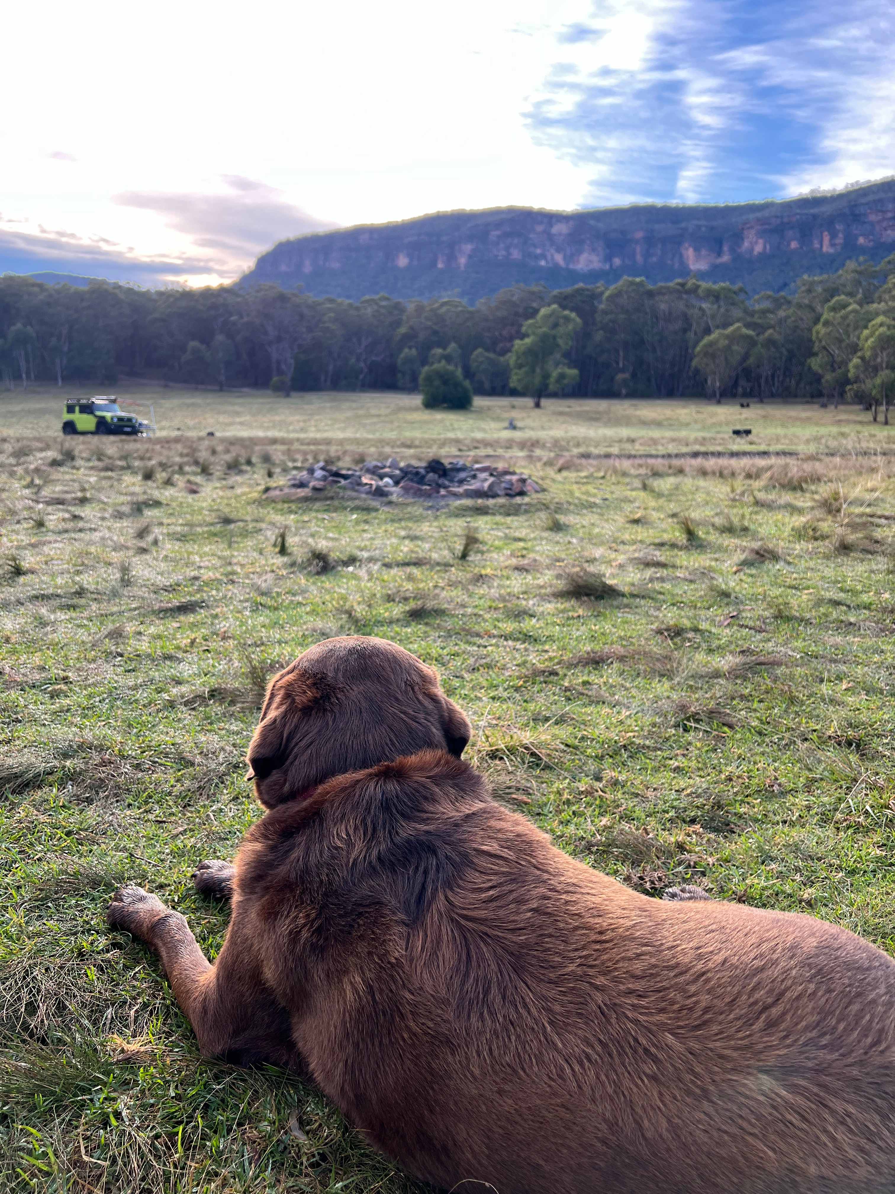 Megalong Valley Farm