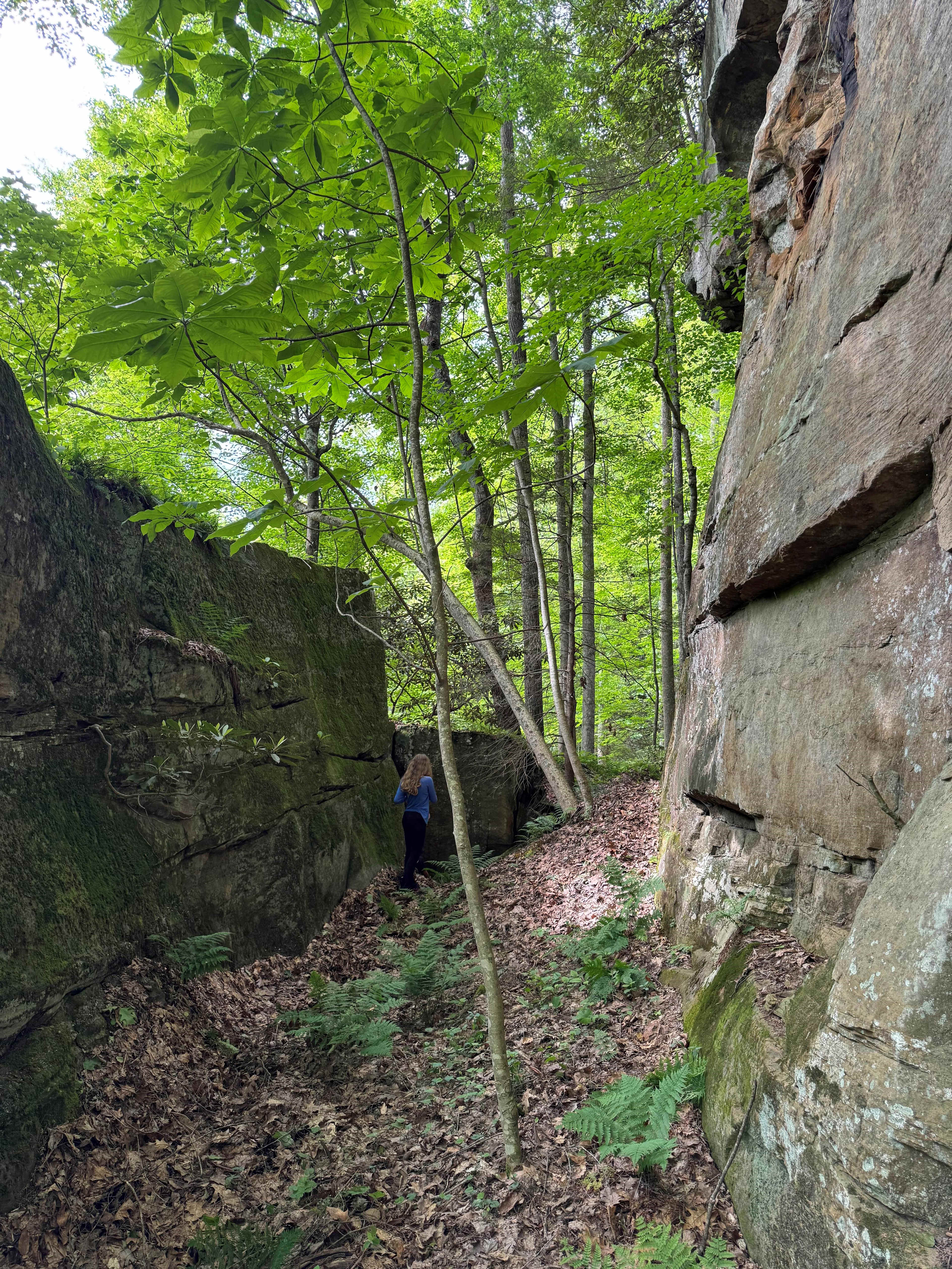 nice verticle rock faces 