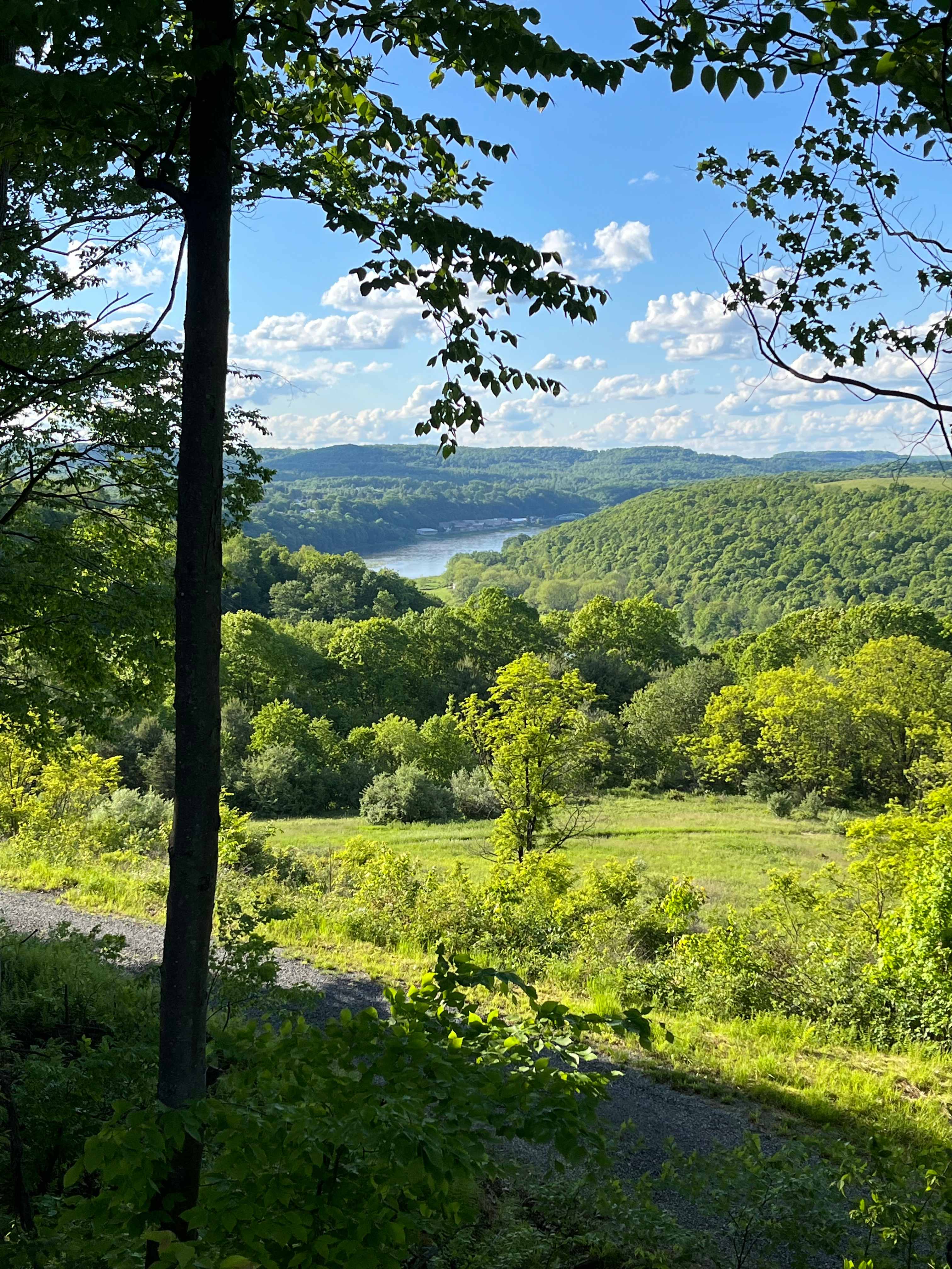 River Hills Above the Allegheny