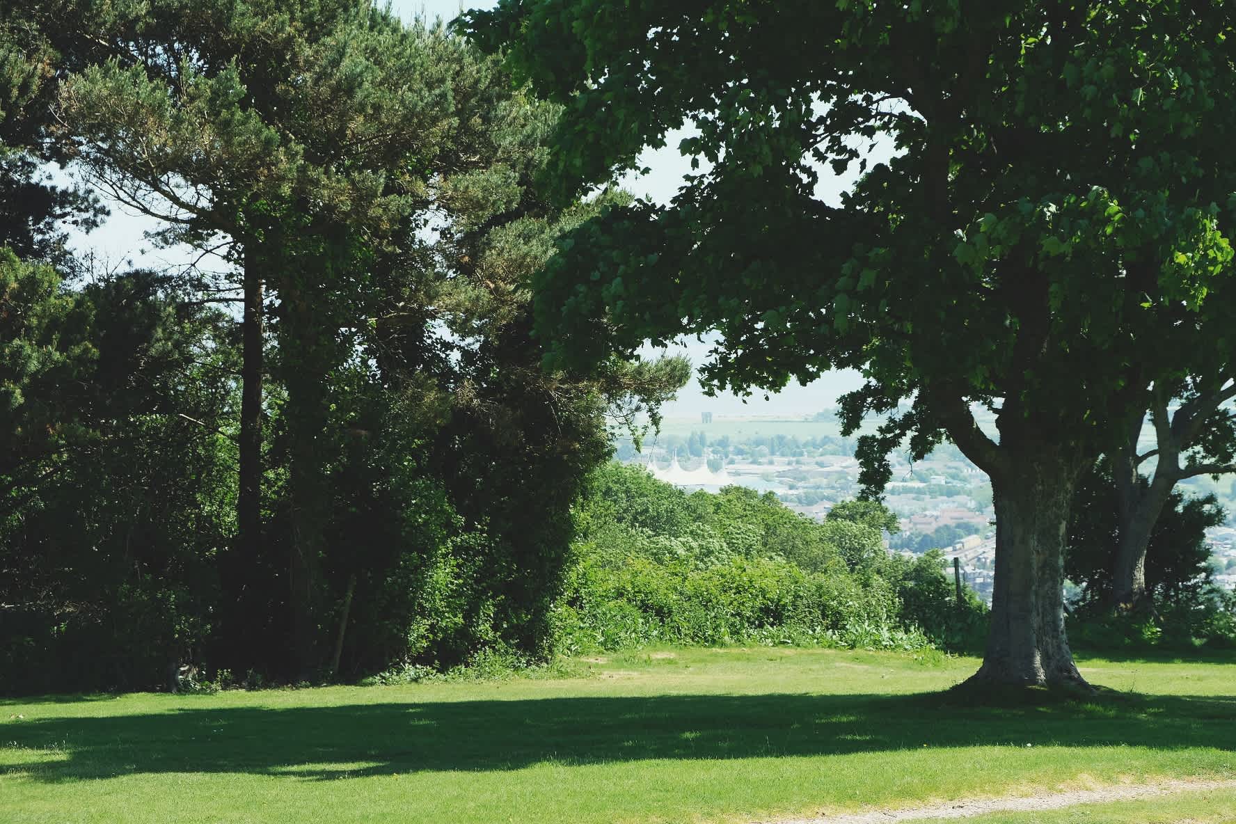 Moor Wood Campsite