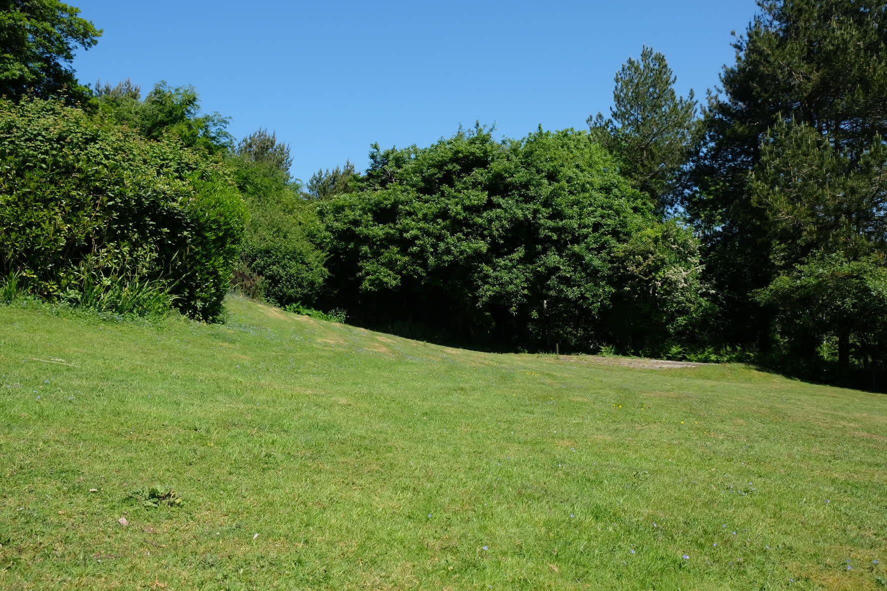 Moor Wood Campsite