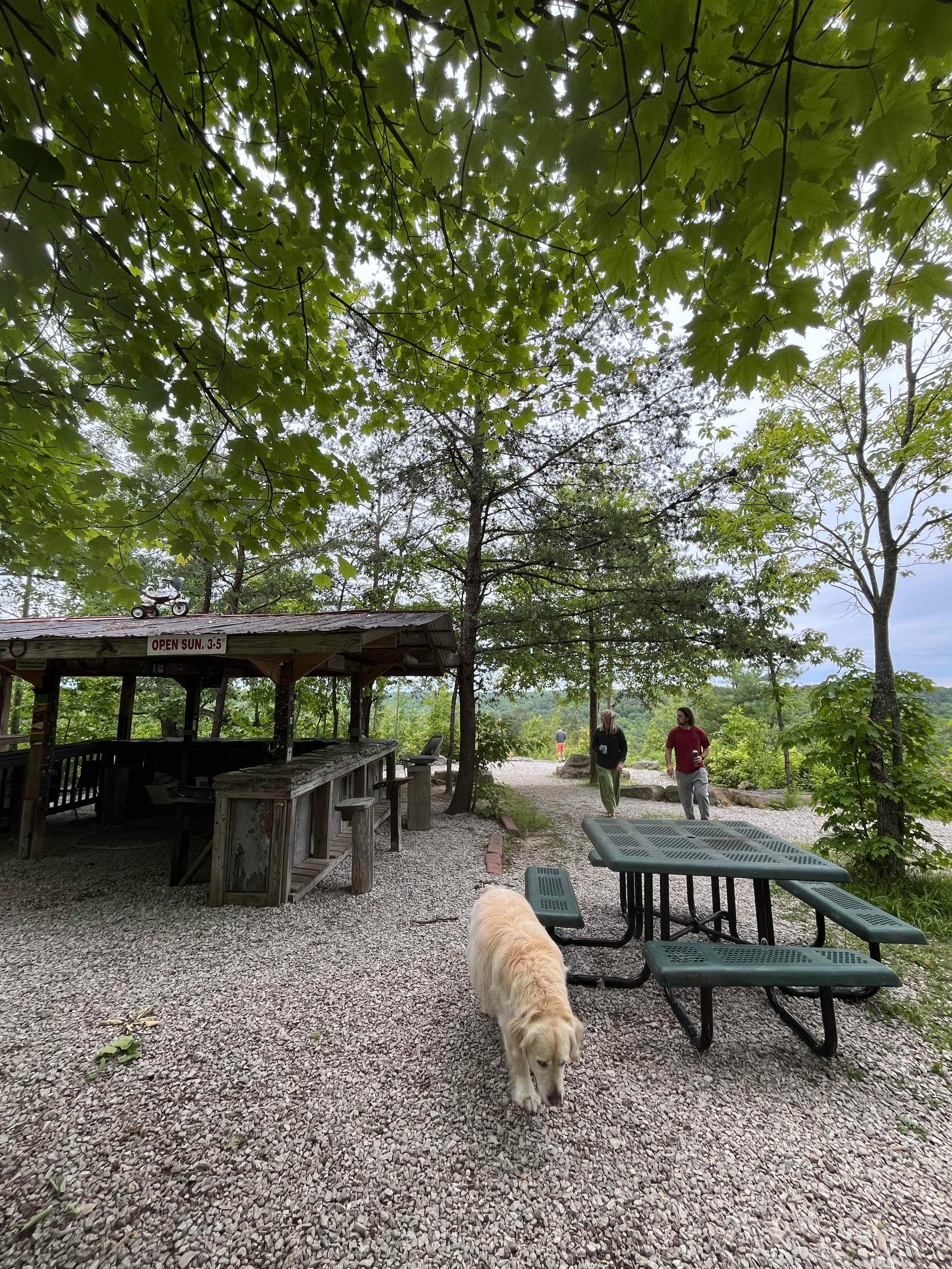 Bar on the Mountain