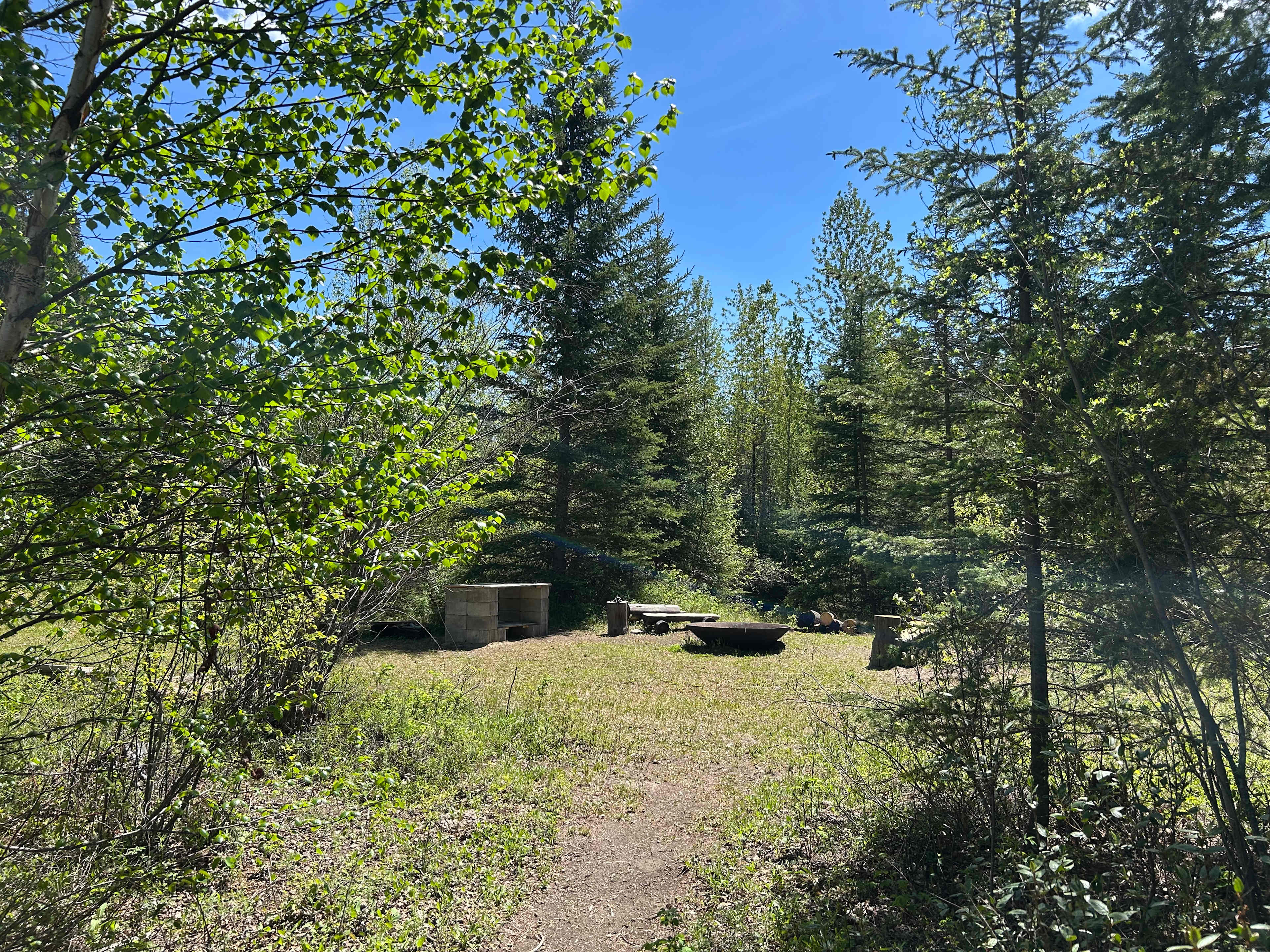 Picture of the site