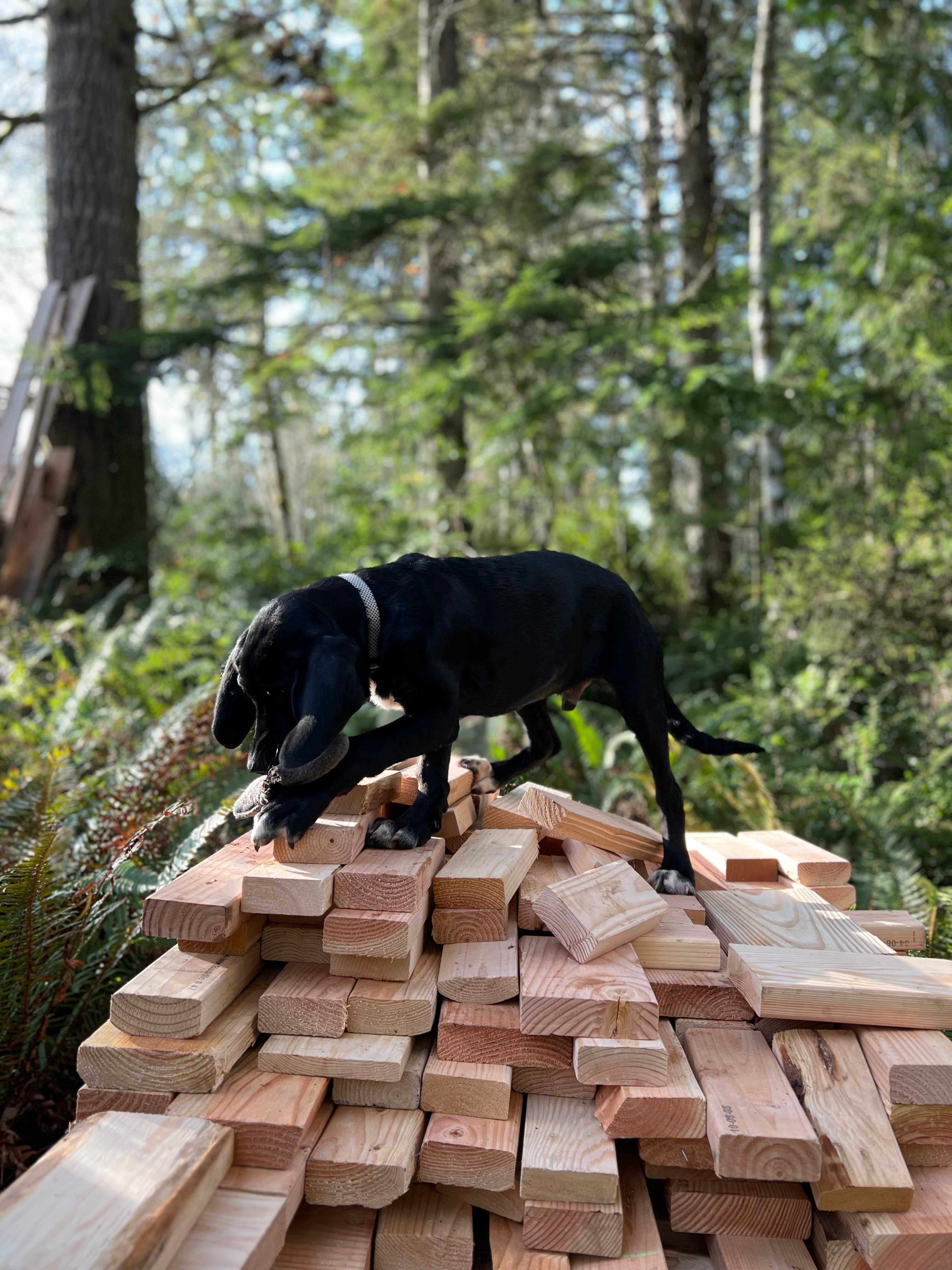 Neighborwood