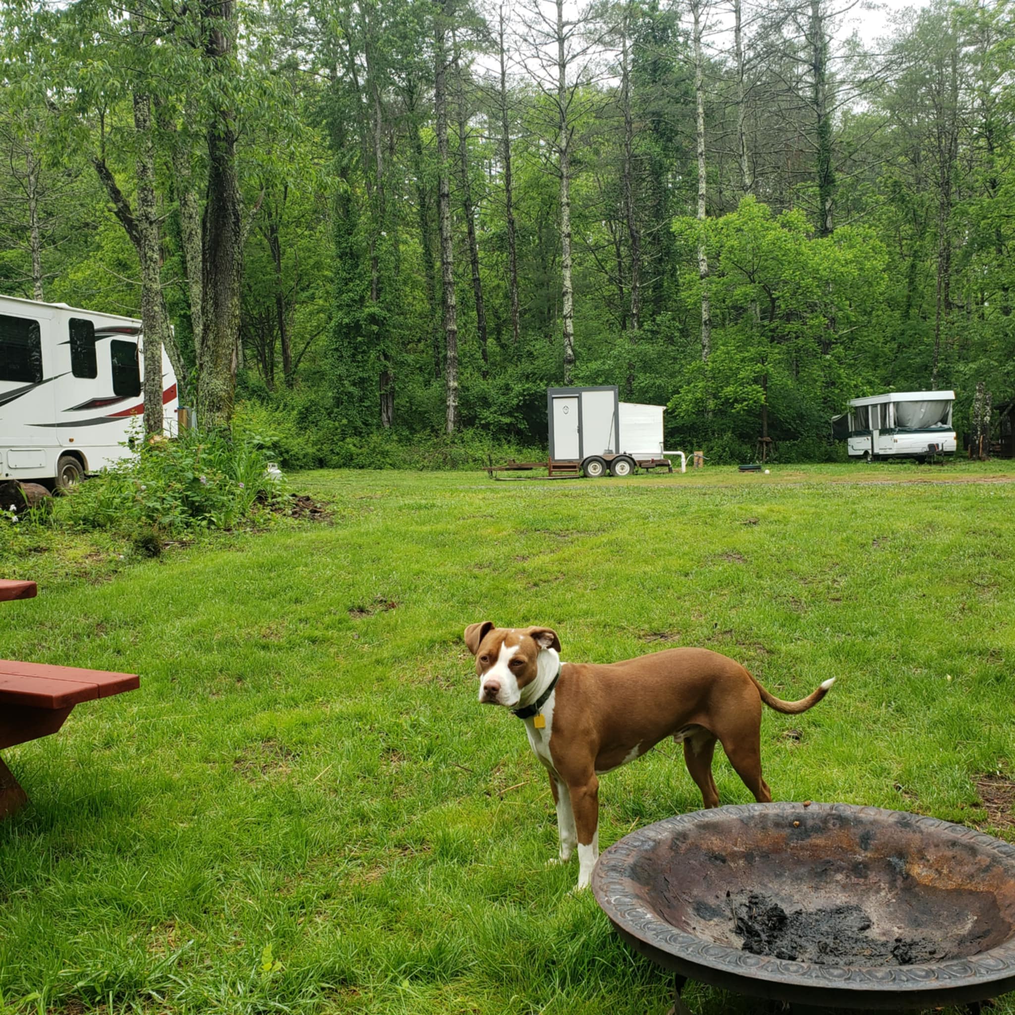 Hippie Hollow