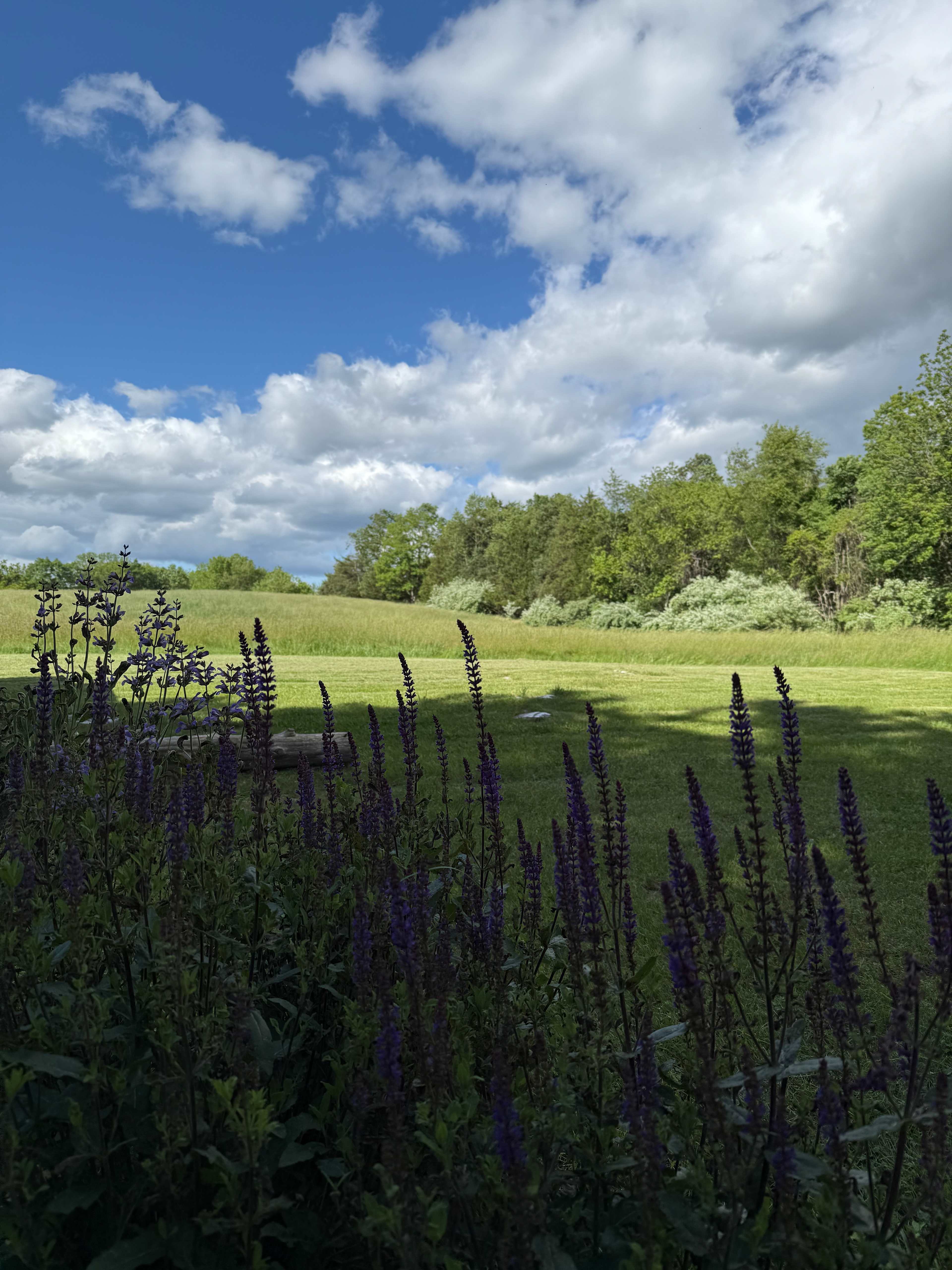 Camps at Evensong Farm