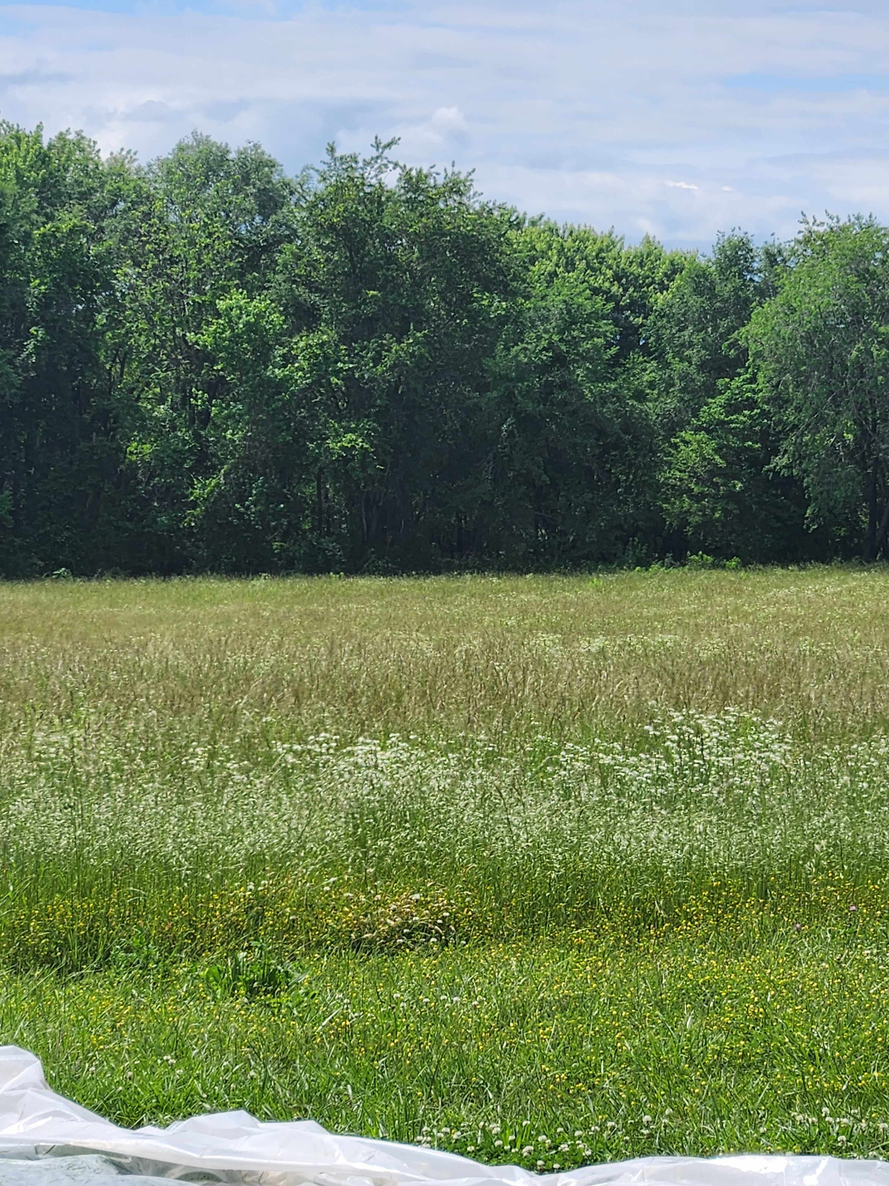 Bluestone Natural Farms