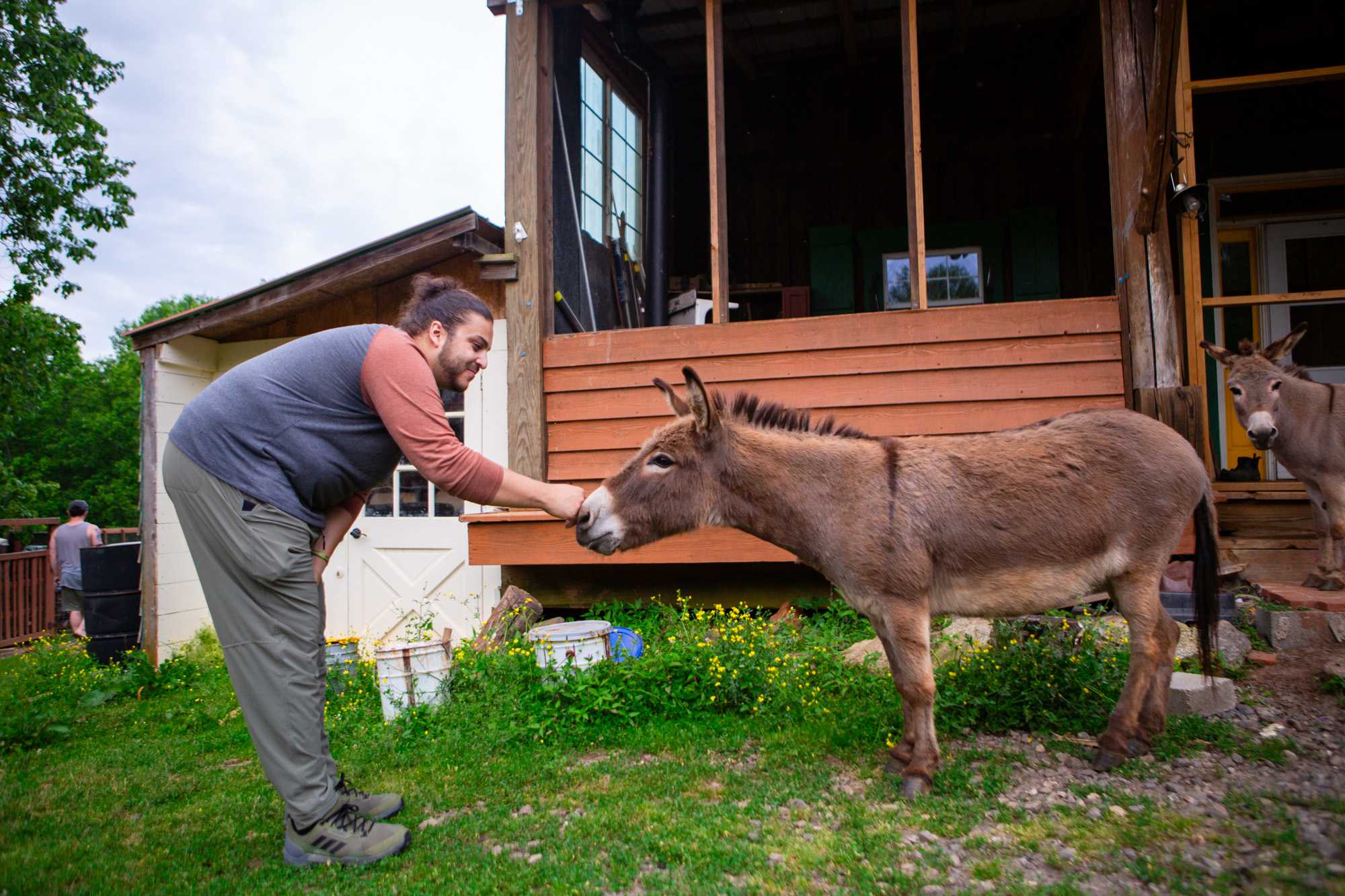 We really enjoyed visiting the goats, donkeys, horses, chickens, and dogs. They are so sweet and friendly!
