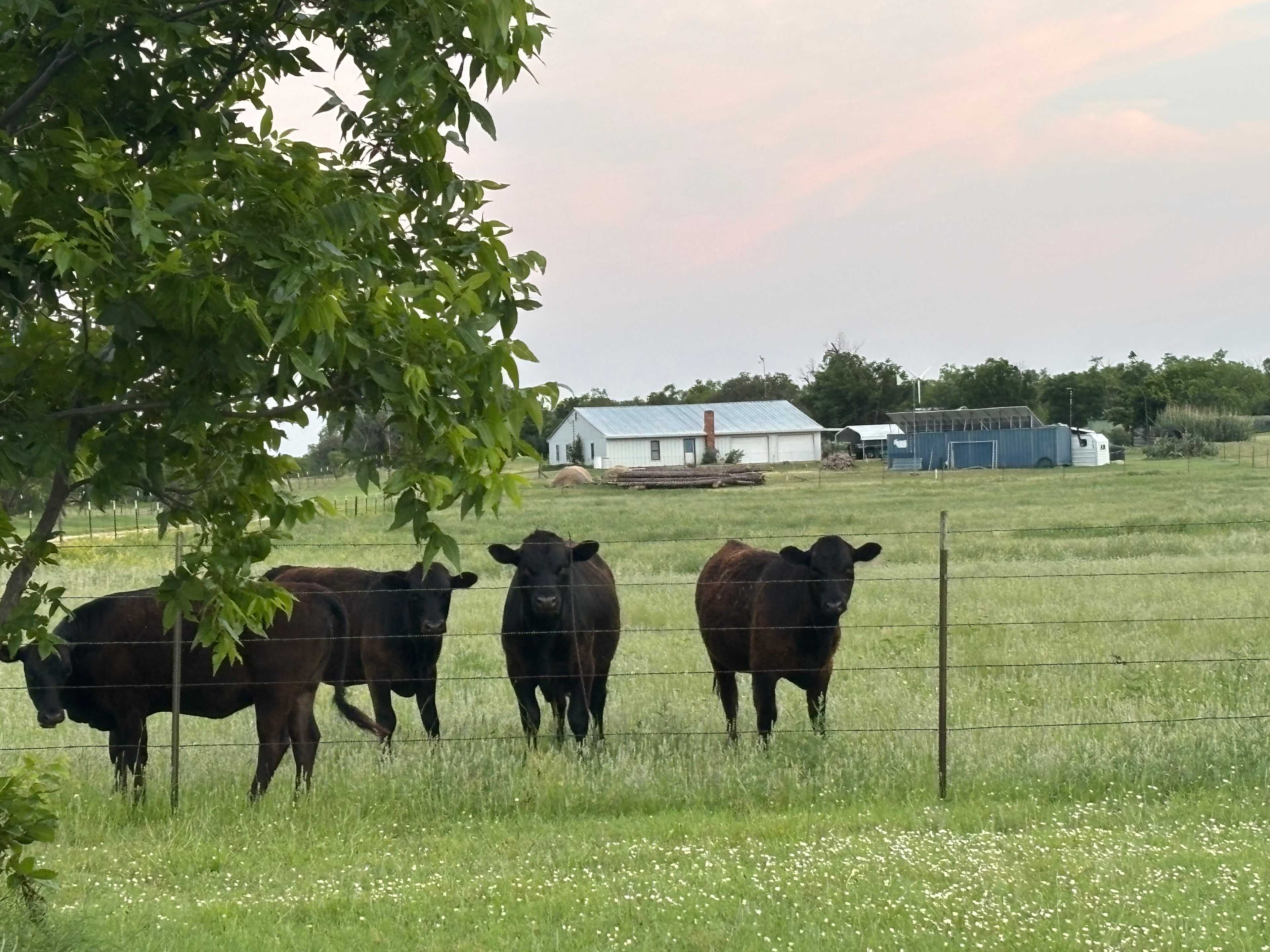Closest neighbors 
