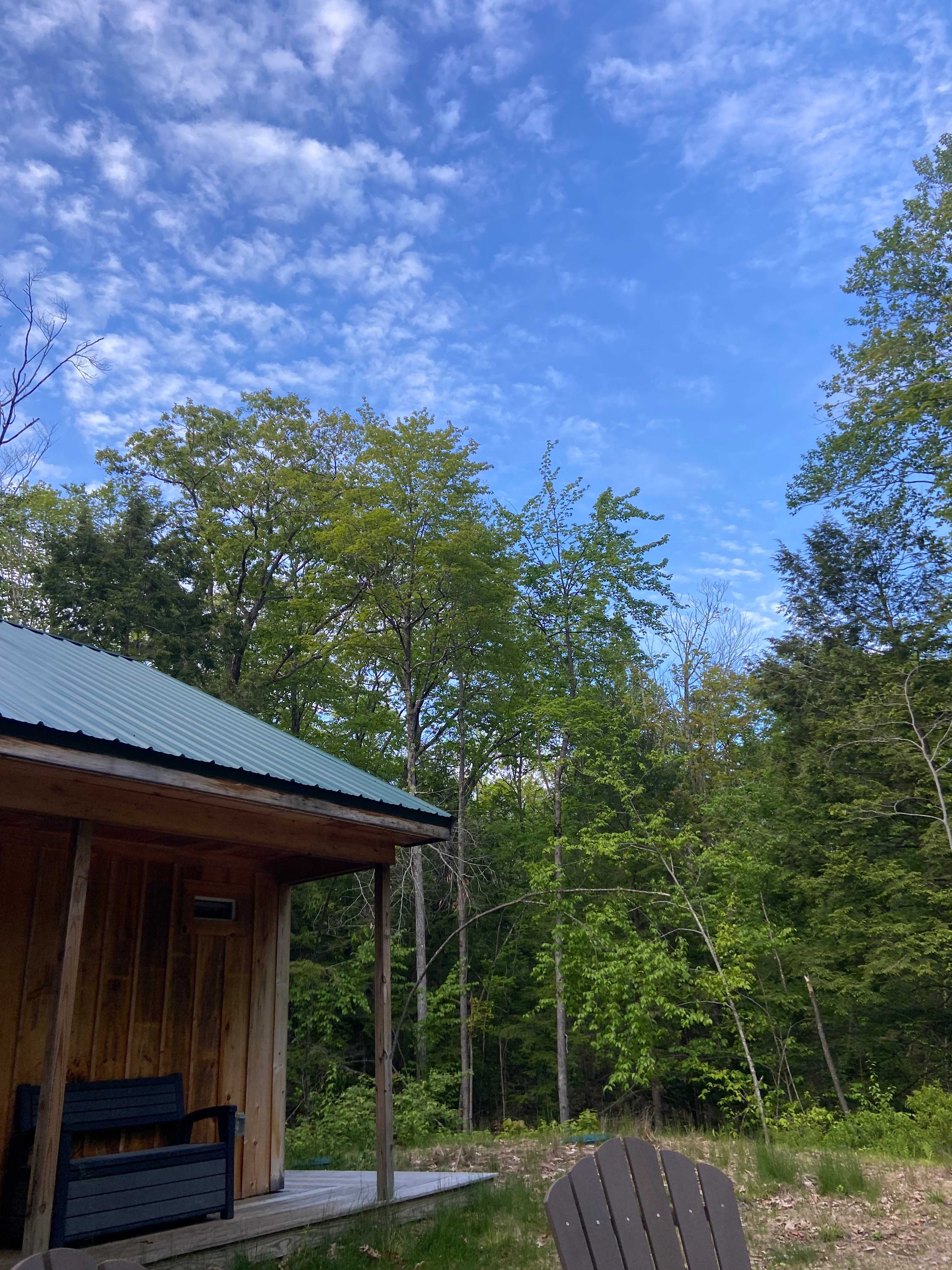 Salamander Hollow Healing Habitat