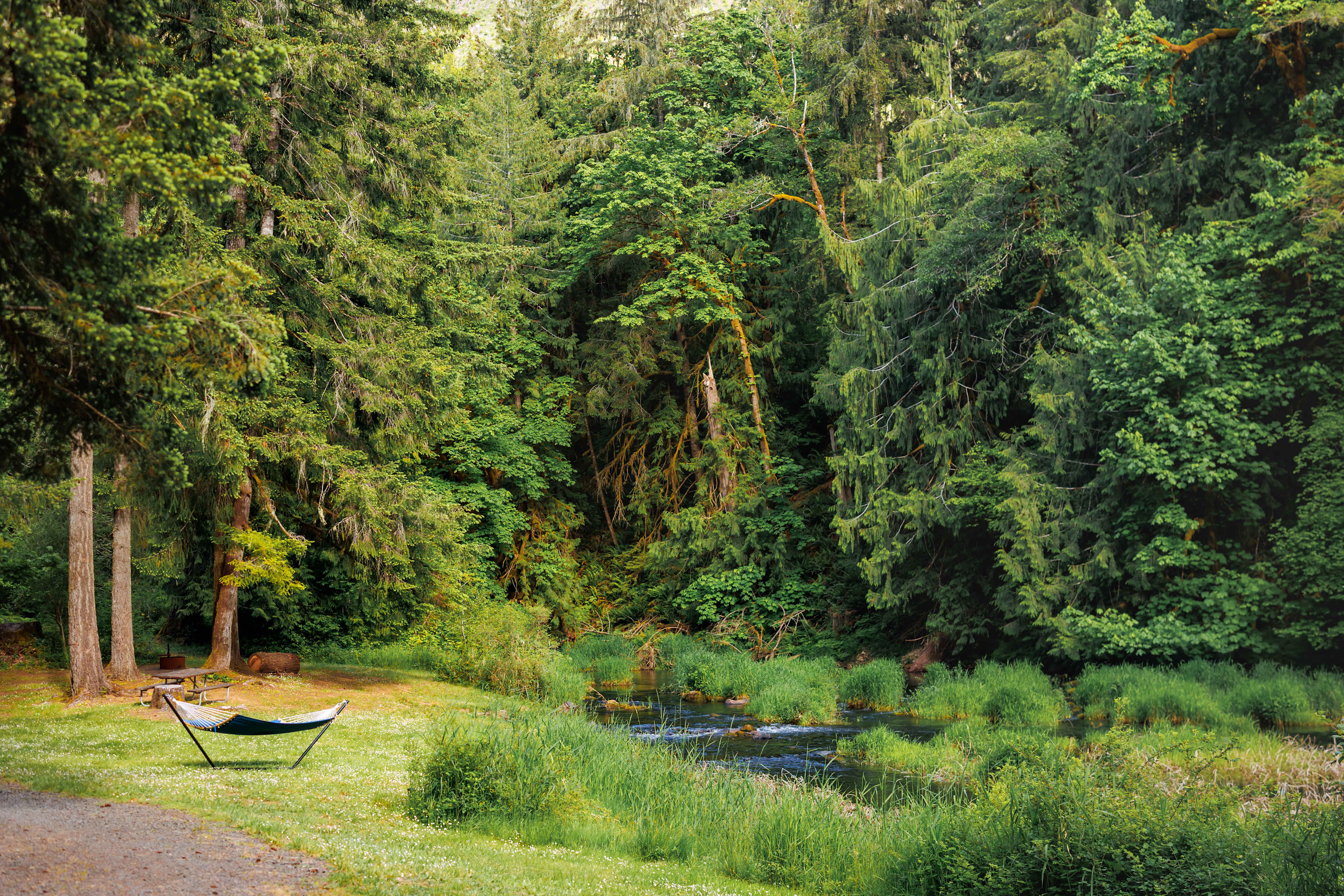 Creekside Retreat At Triangle Lake