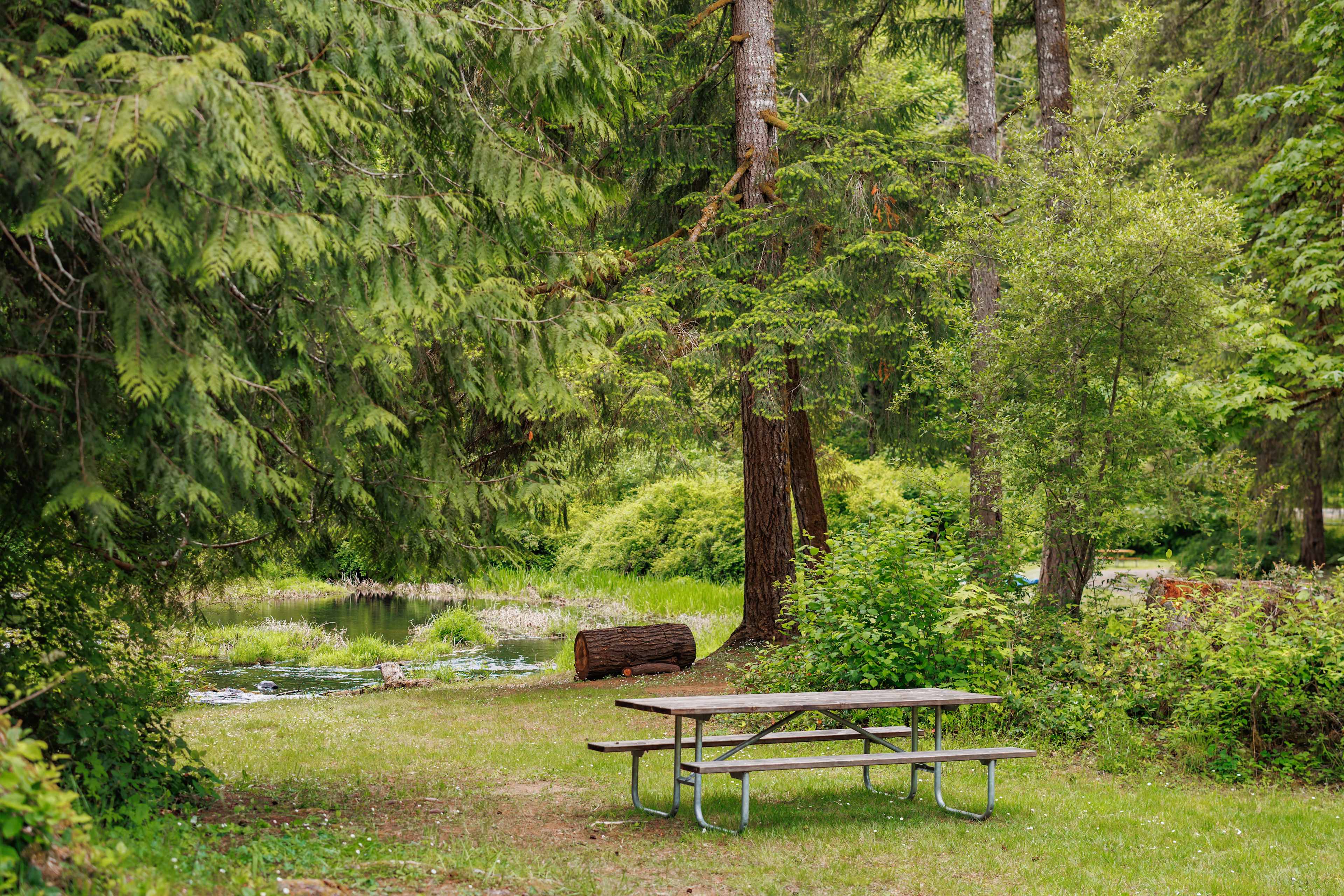 Creekside Retreat At Triangle Lake
