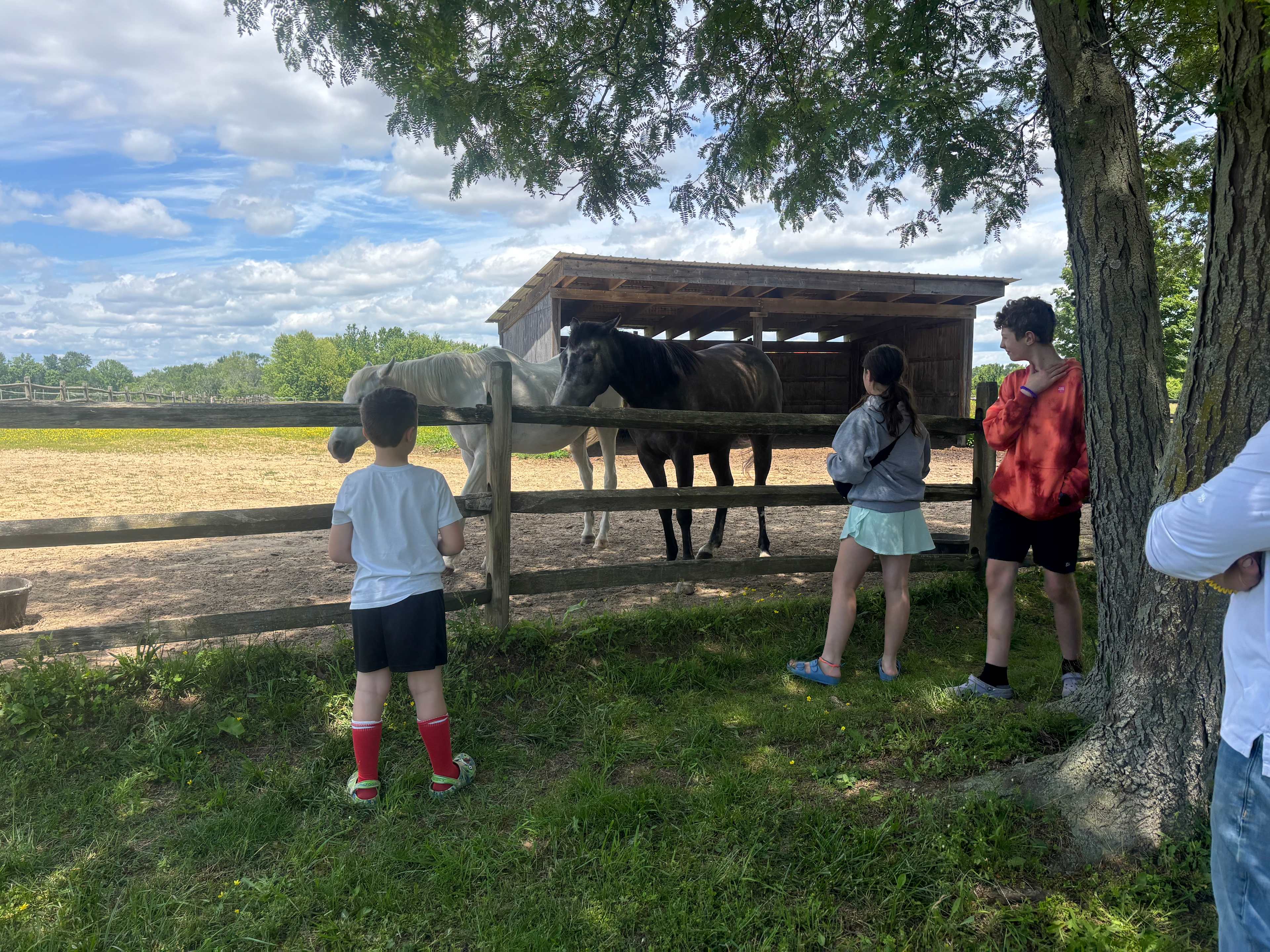 Countryside Horse Farm