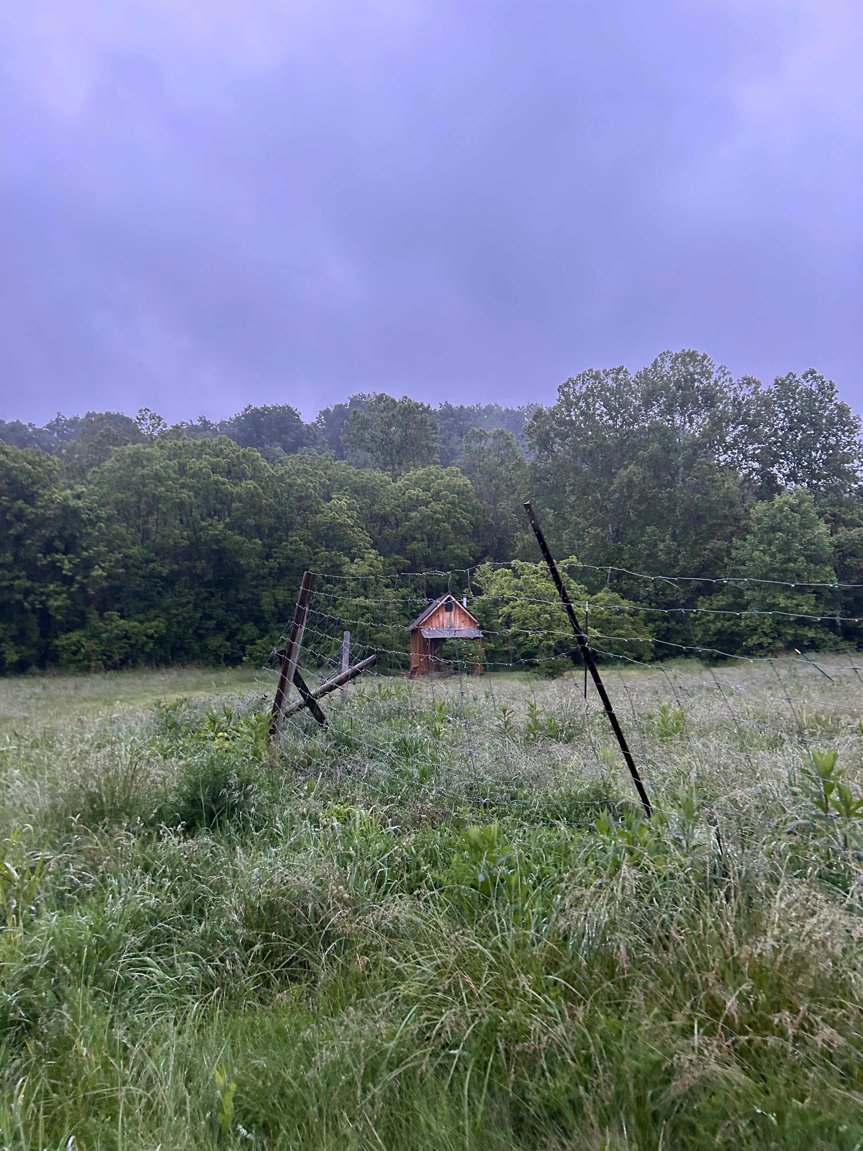 Indian Camp Lane