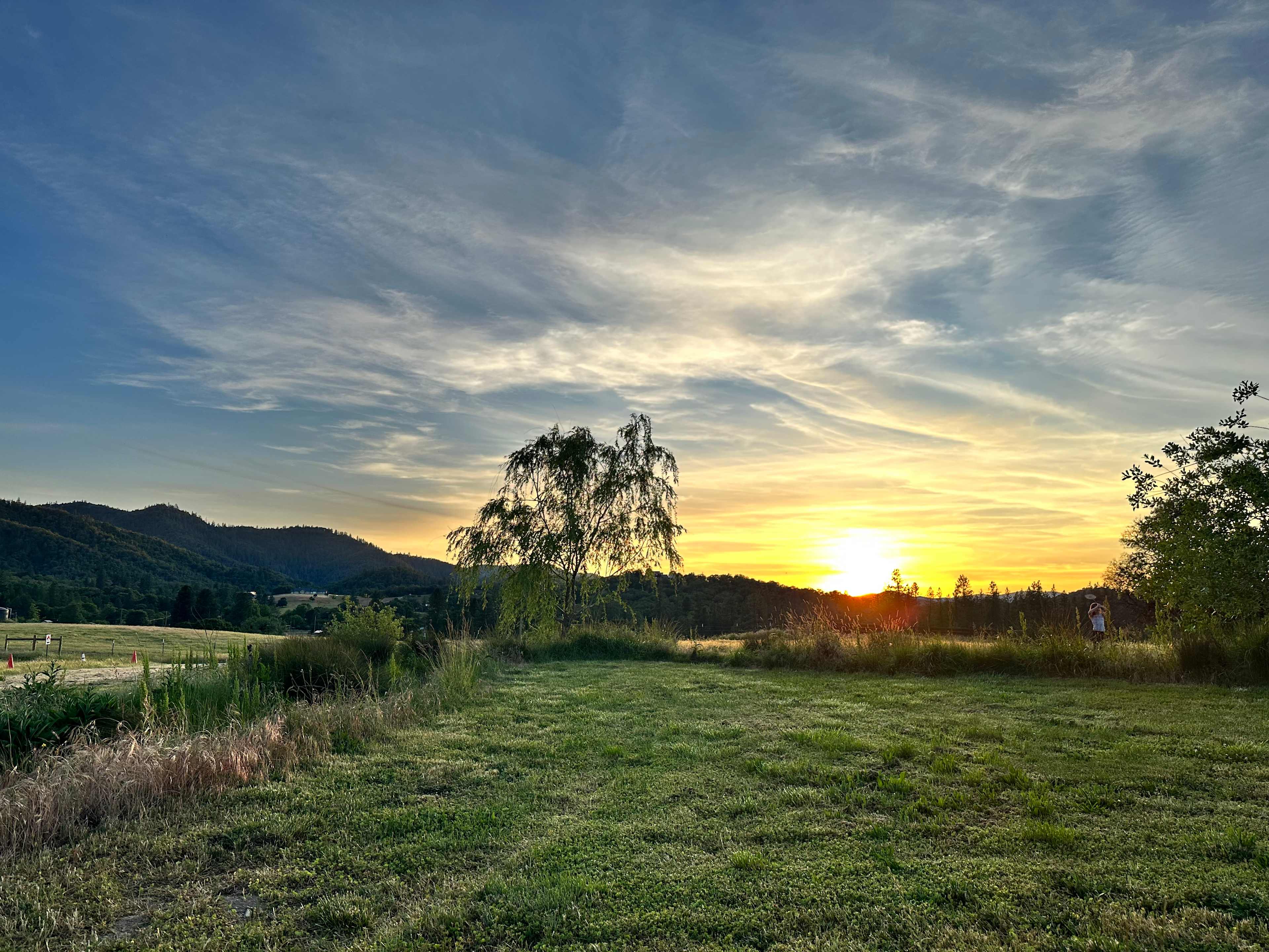 Lane Creek Reserve