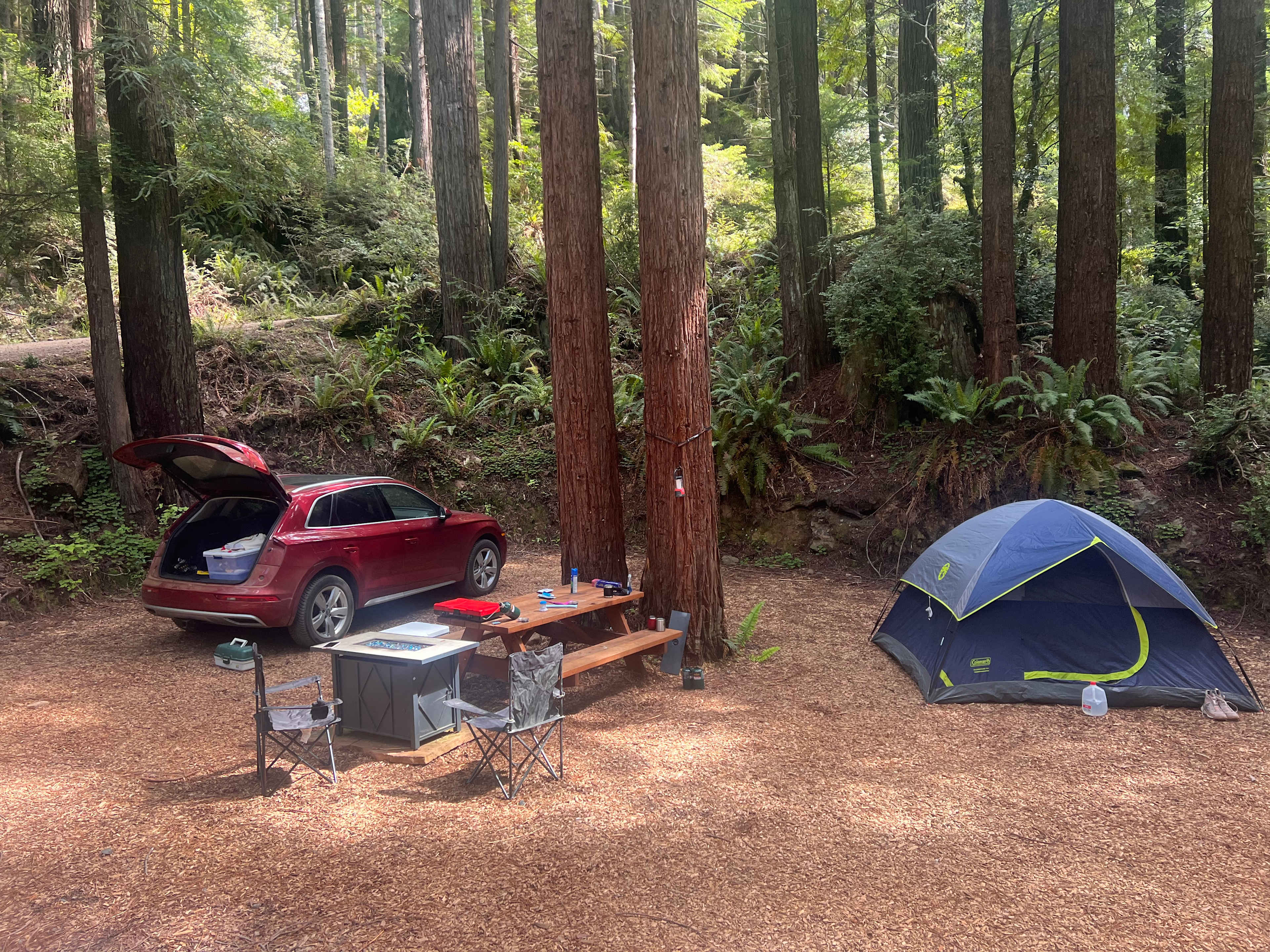 Whispering Redwood Creek
