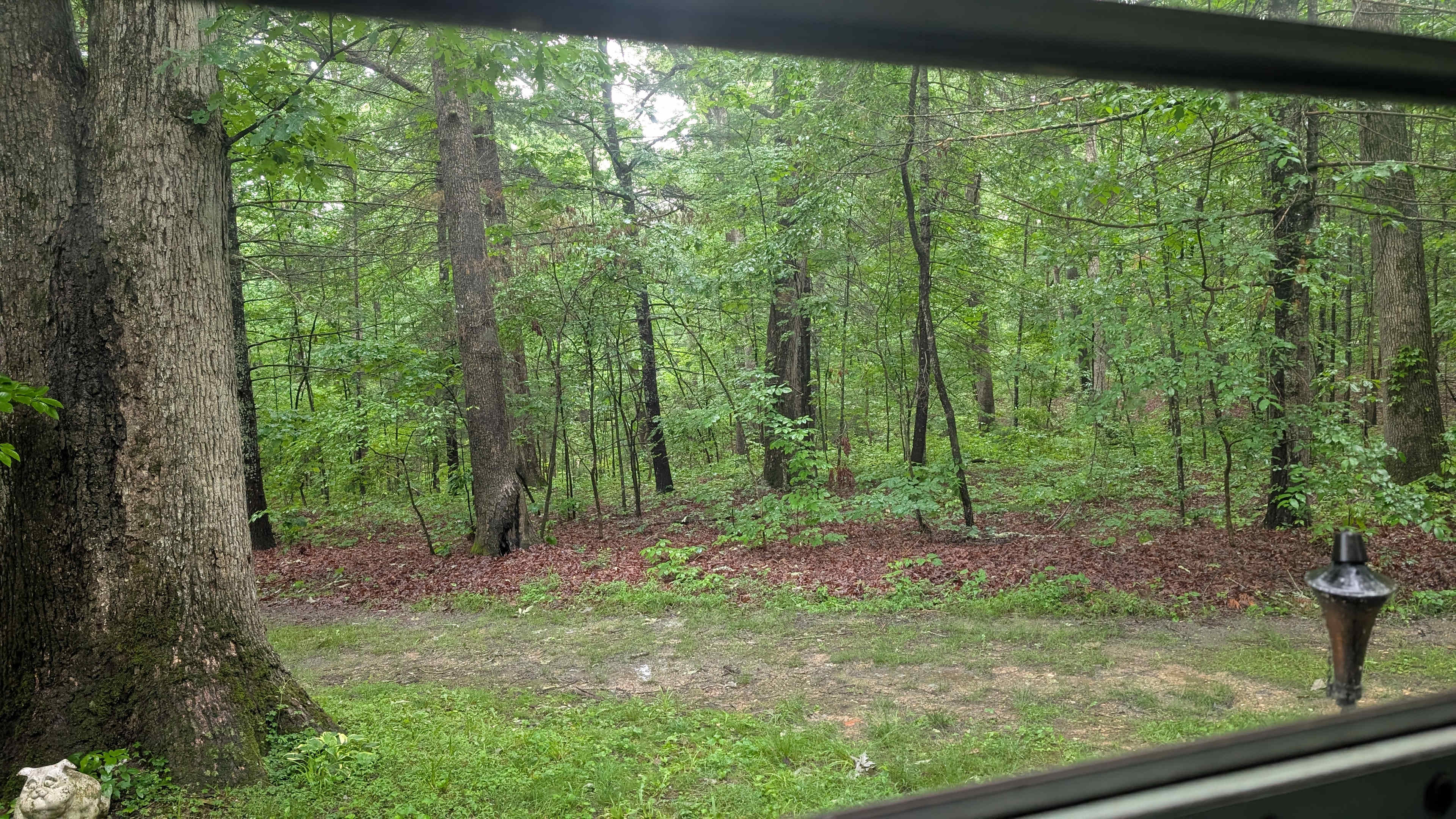View from the bed