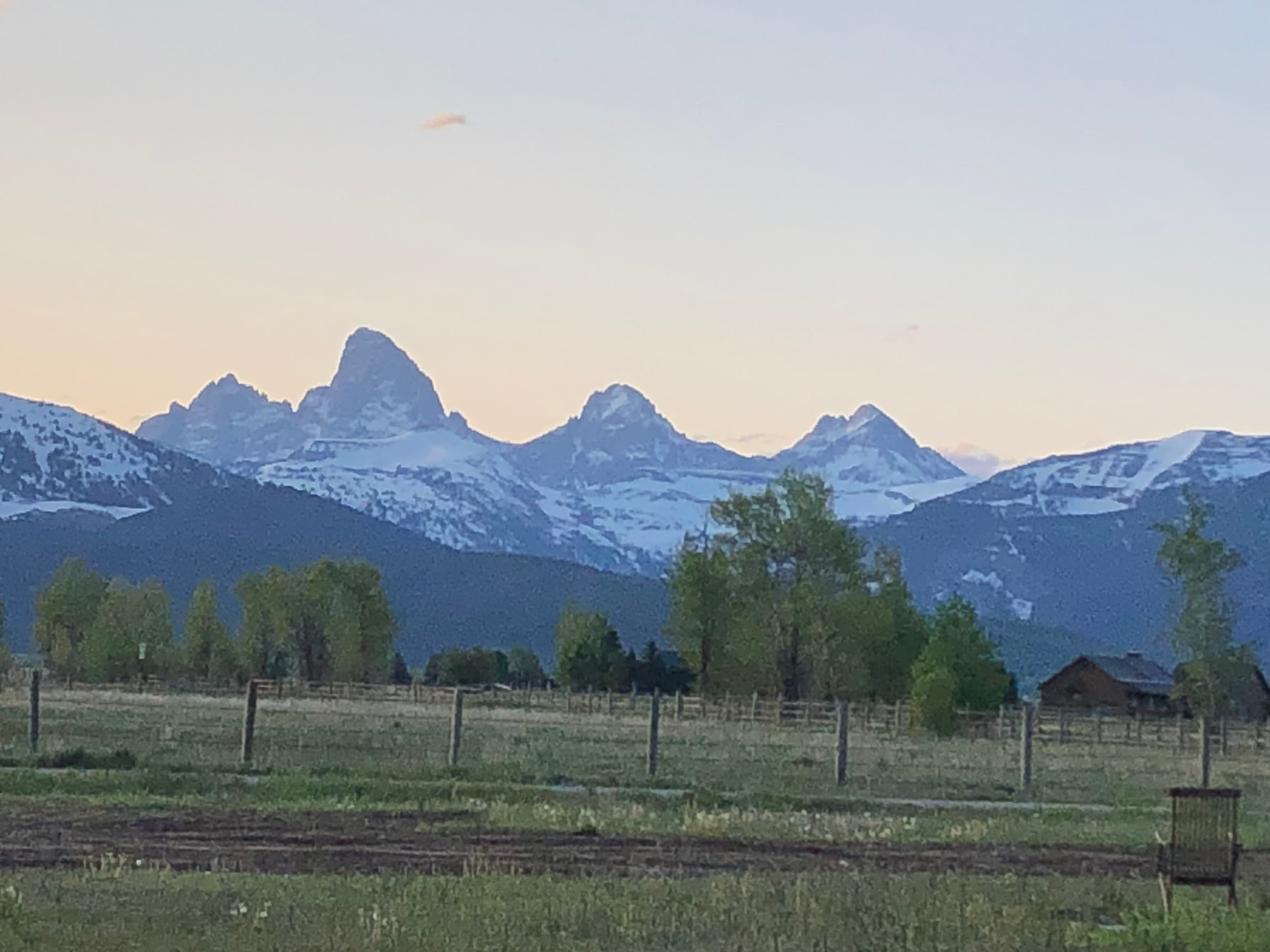 Teton Views