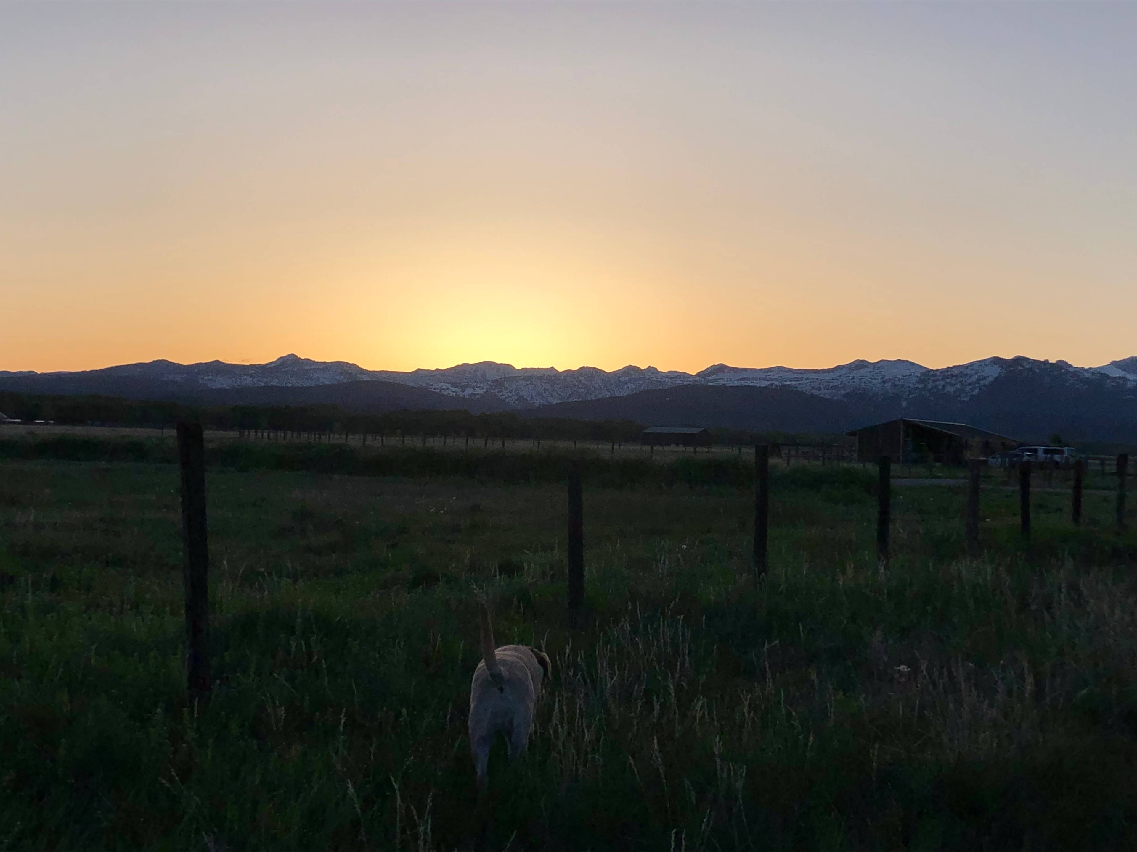 Teton Views