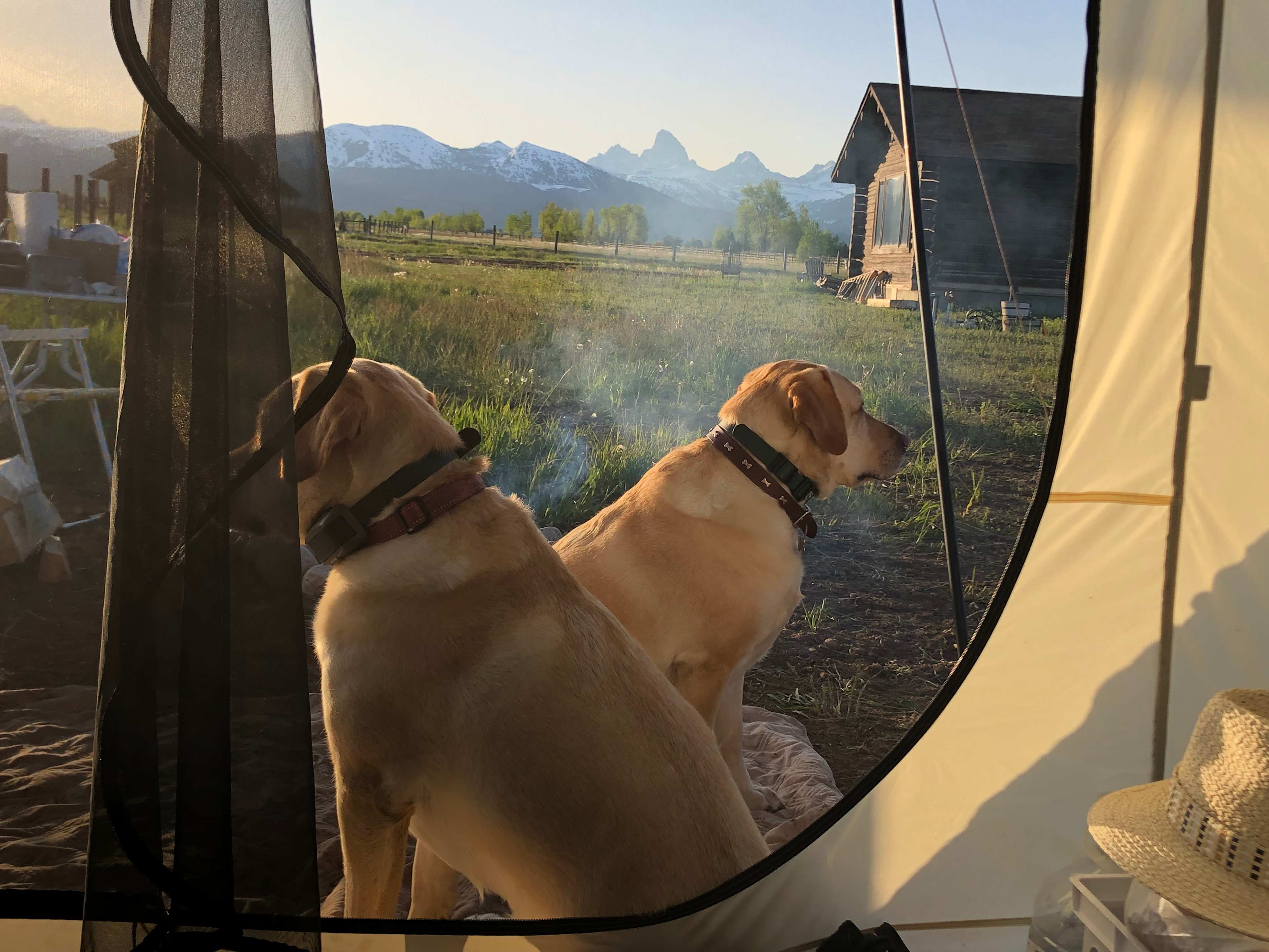 View from a tent!!