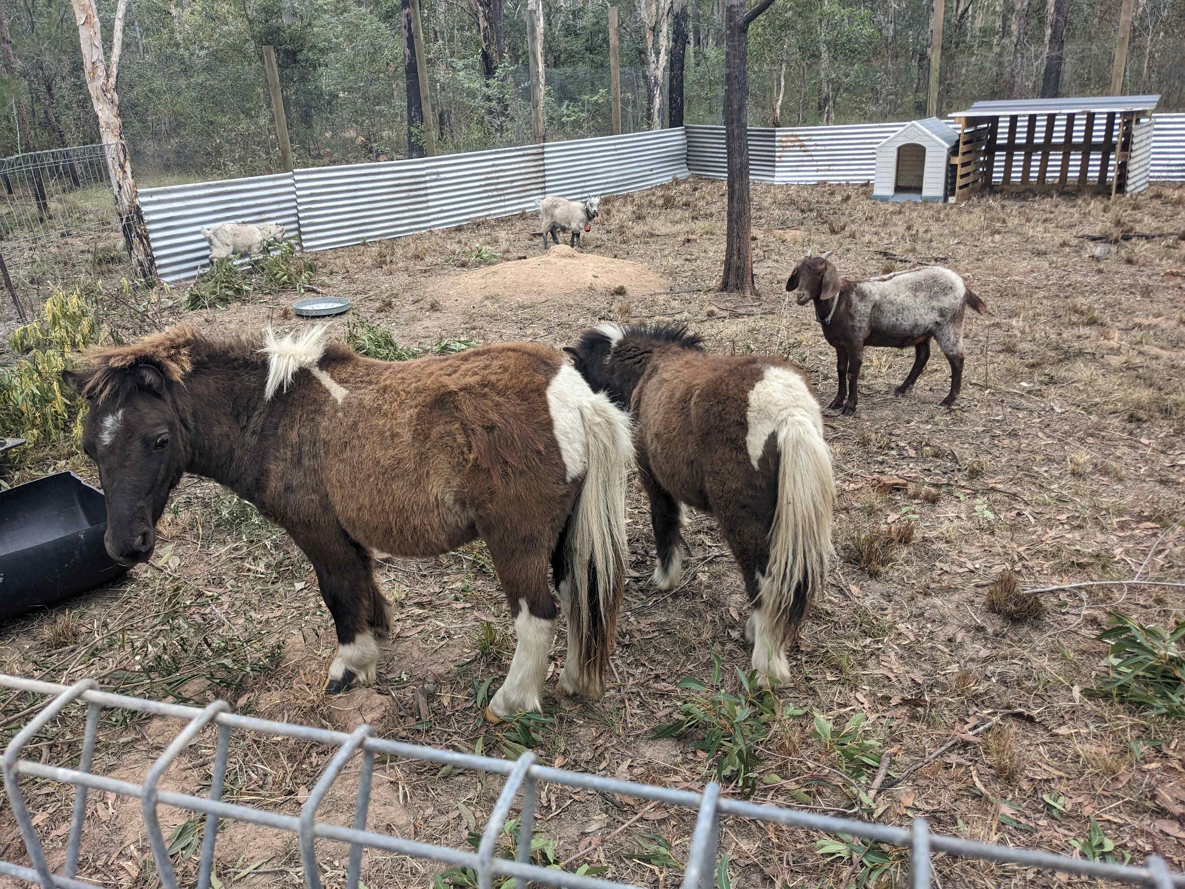 Woodlands Farmstay and Glamping