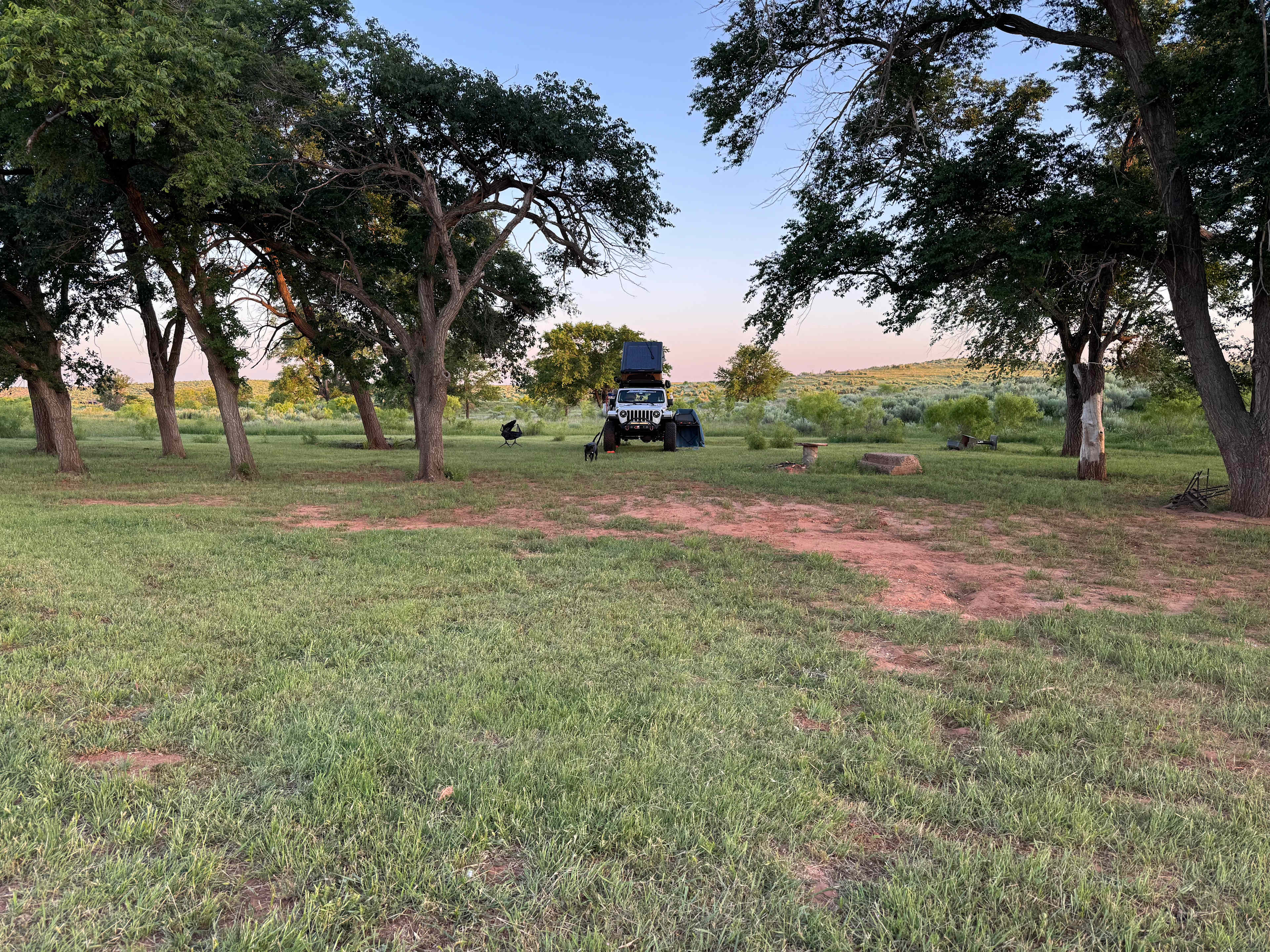 Shaded camping area. 