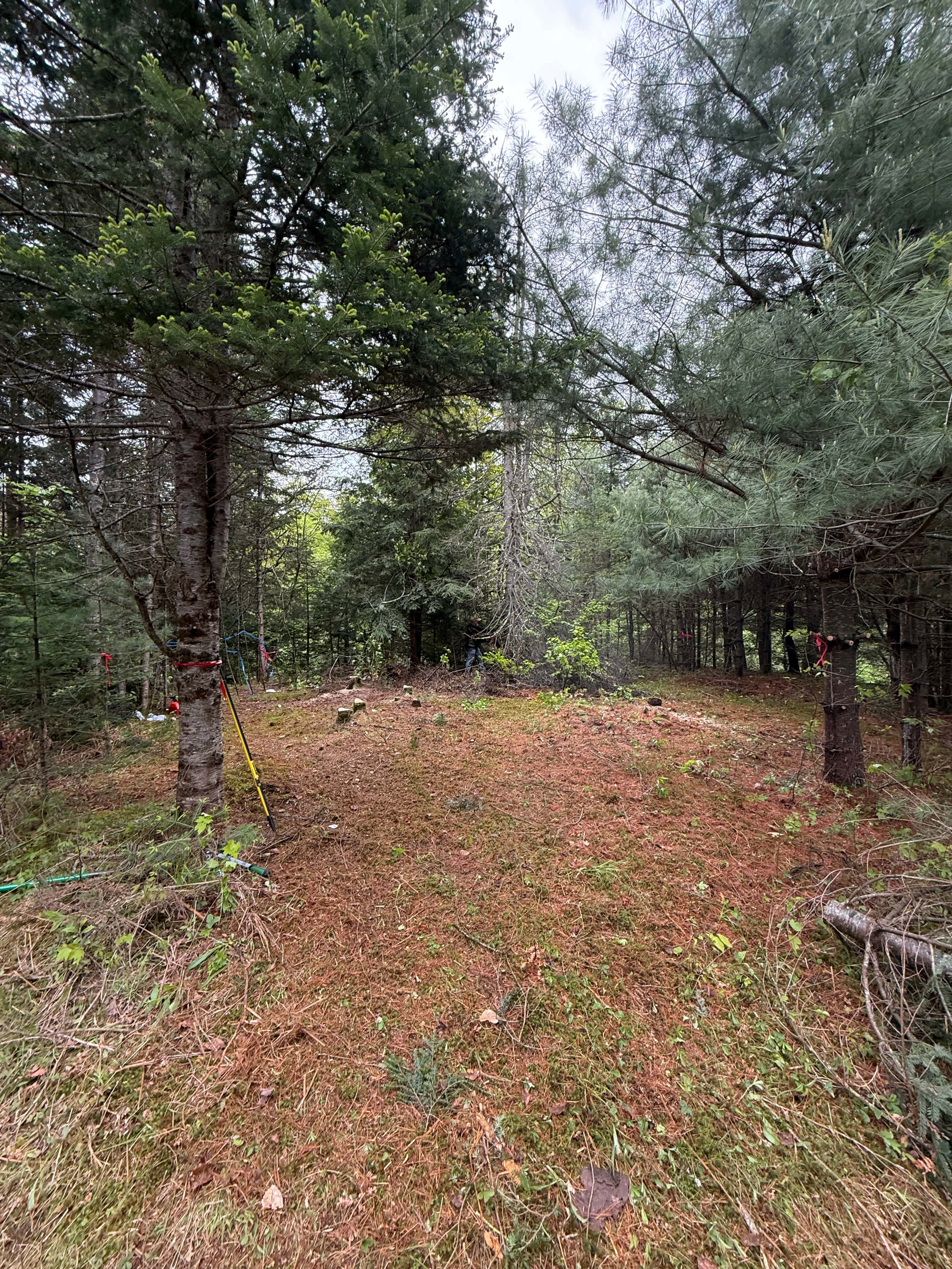 Antonio’s Acres