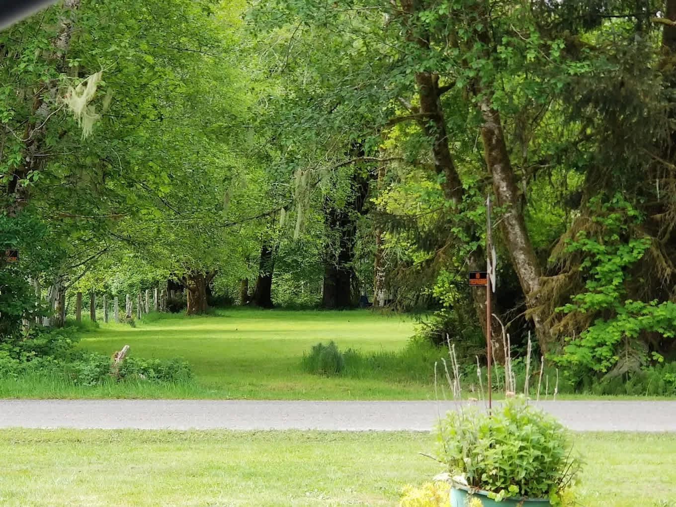 Hard Rain Cafe and Campground