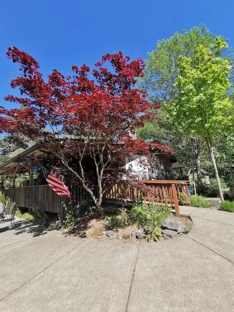Hard Rain Cafe and Campground
