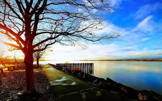 Umatilla Marina & RV Park