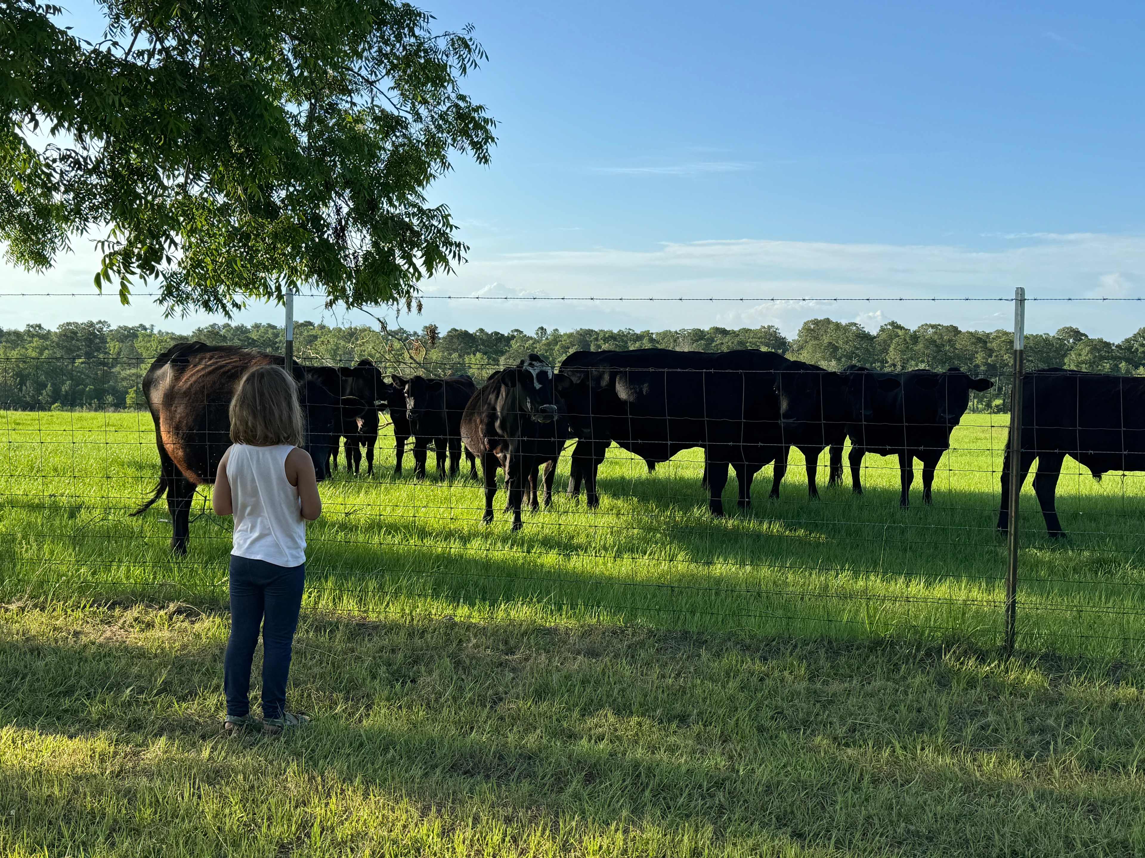 Slanted Oak Farm