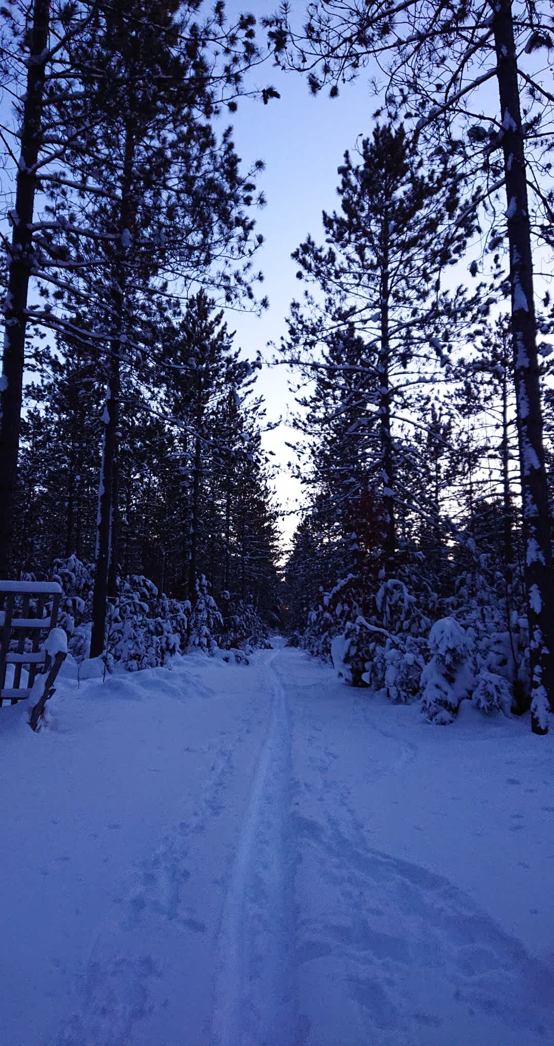 Timberline Campground