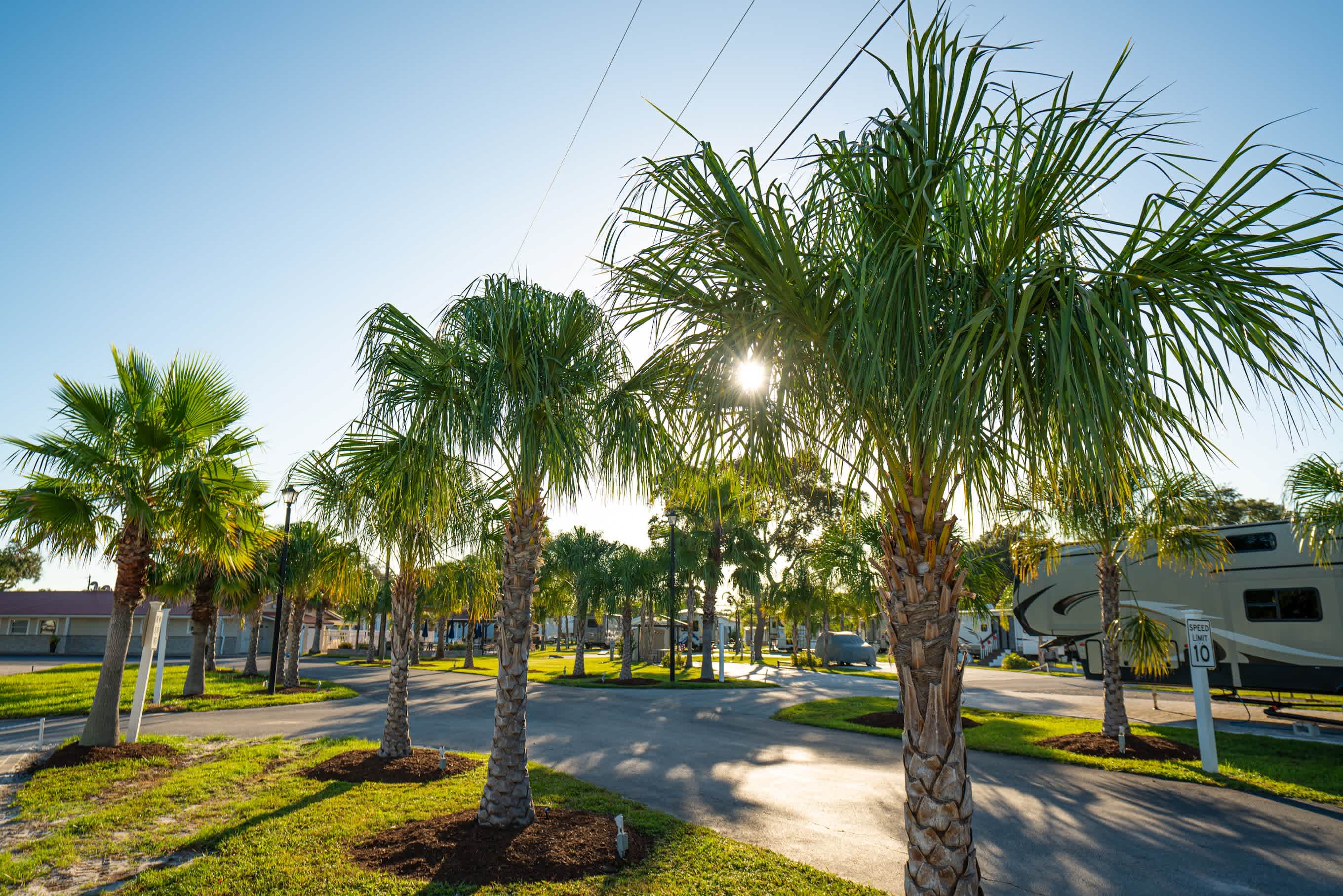 Sun Retreats Daytona Beach