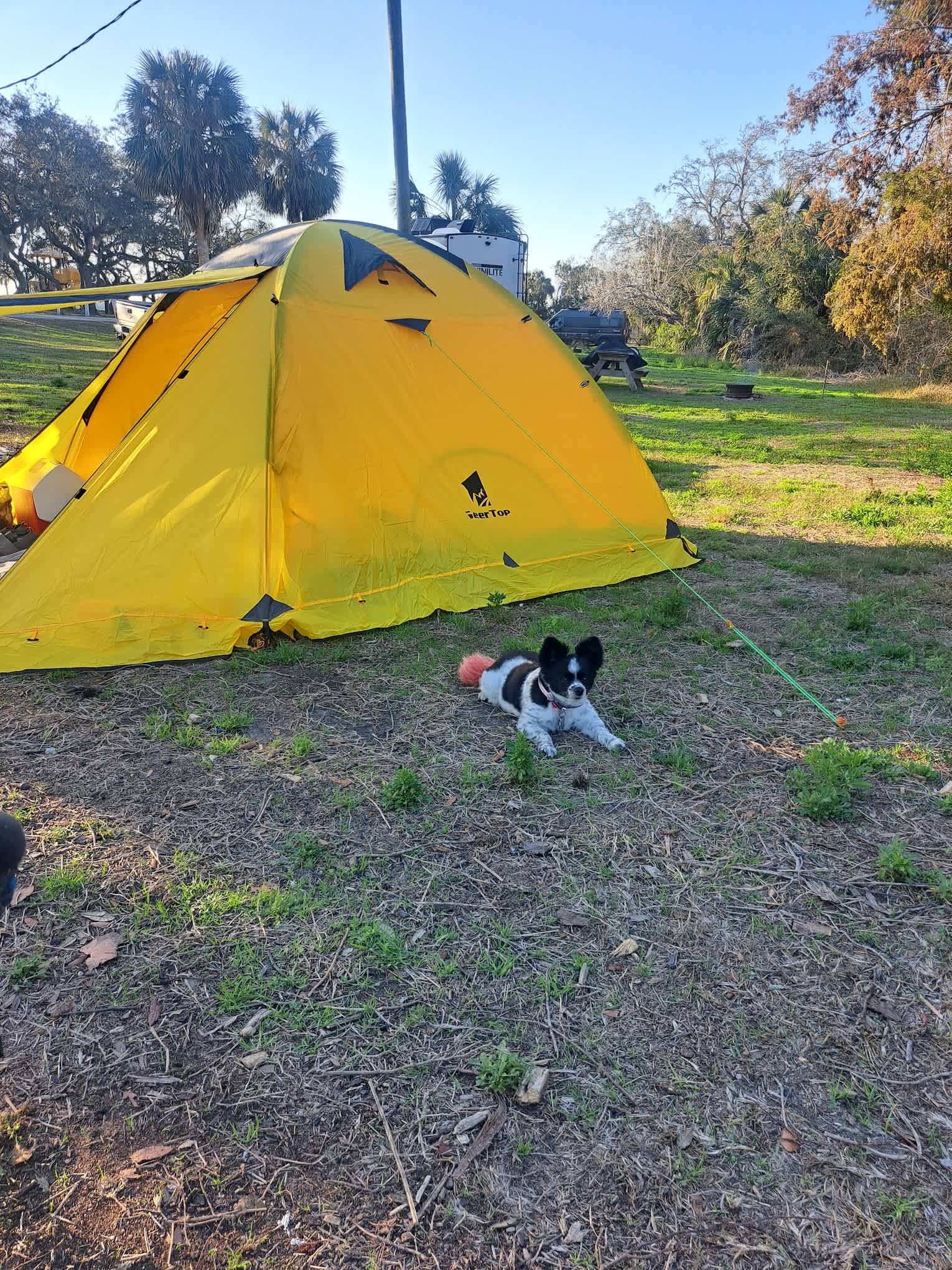 Shell Mound Campground