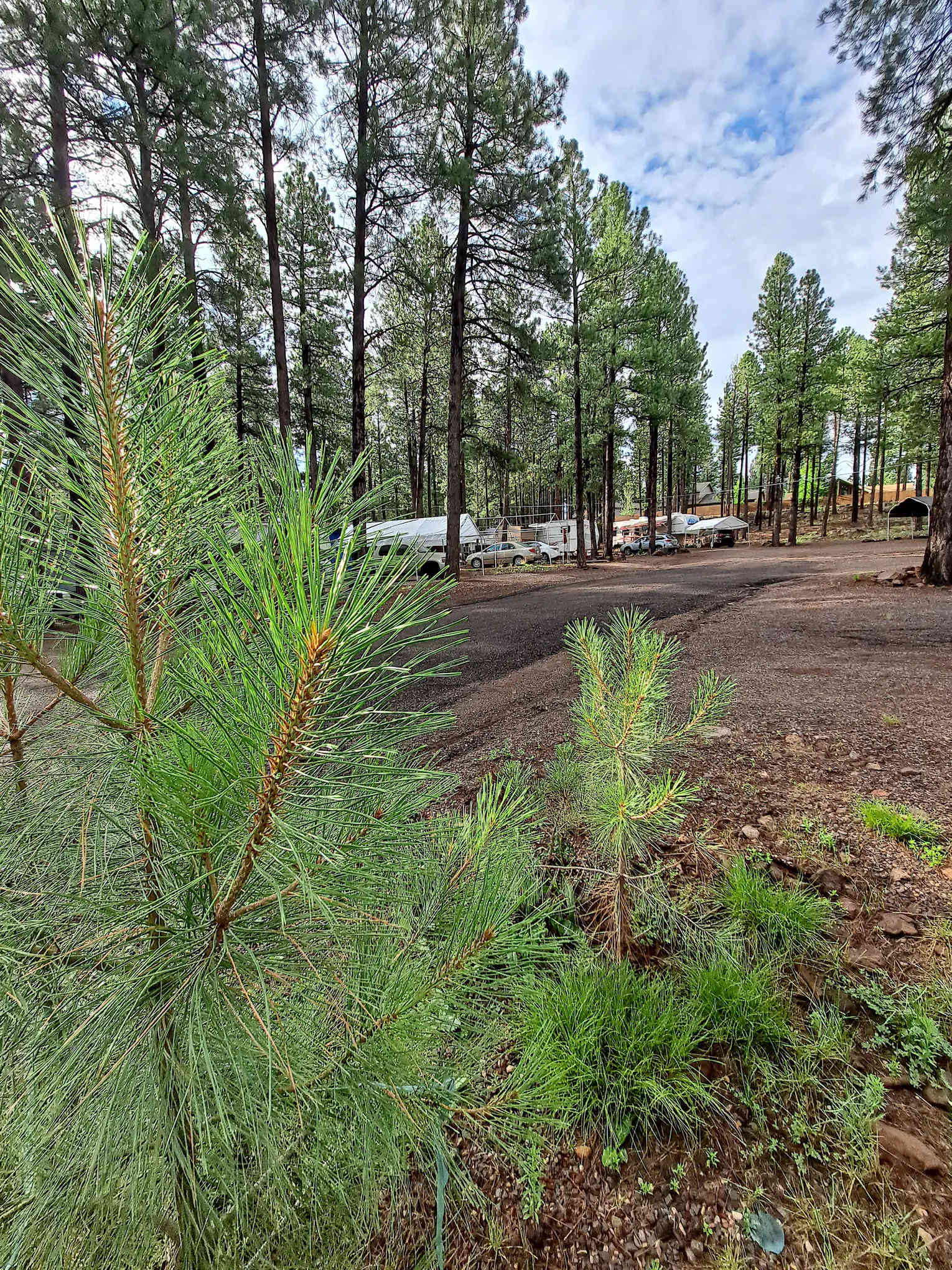 Kit Carson RV Park
