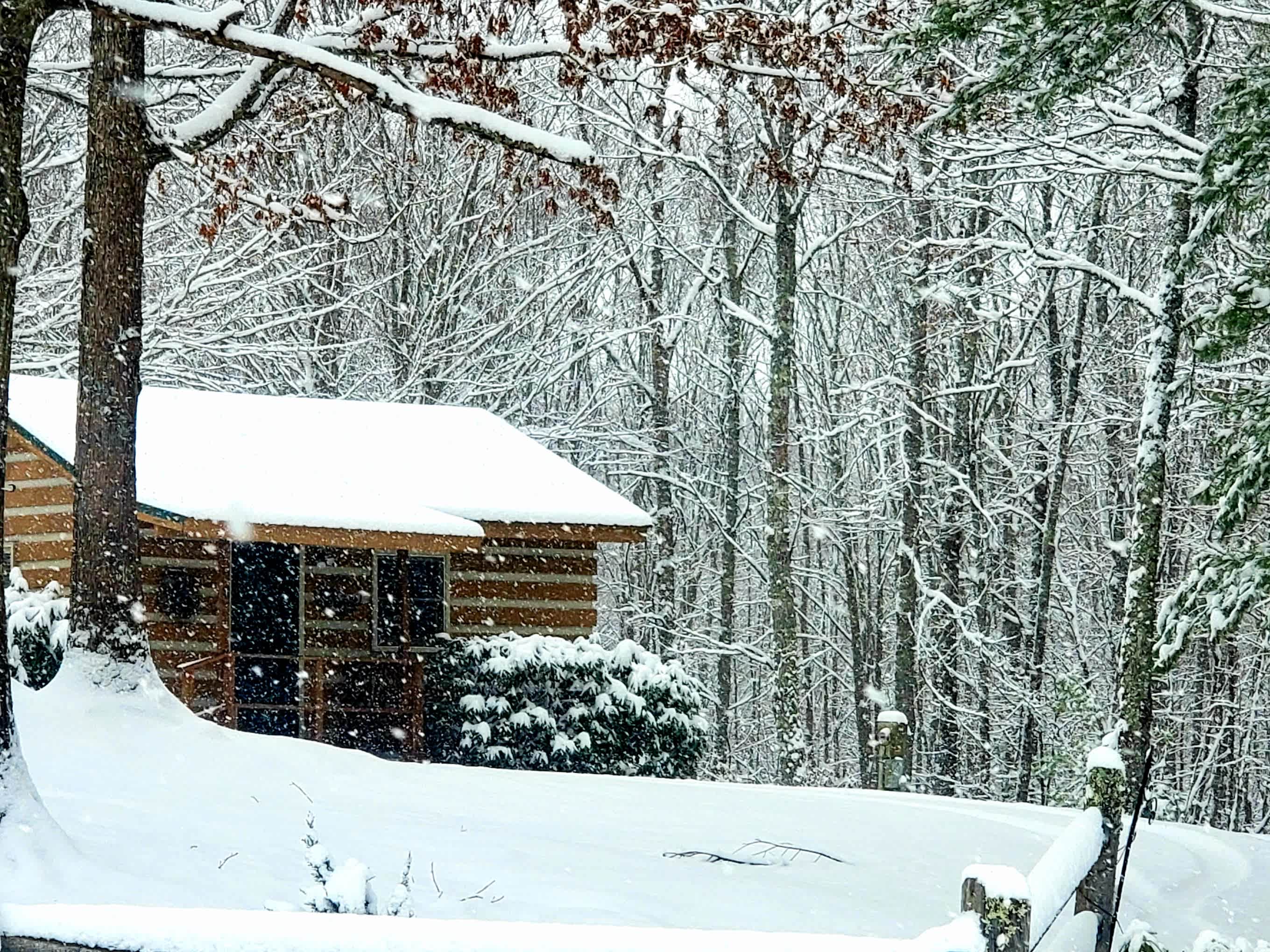 Mountain Side Campground & Cabins
