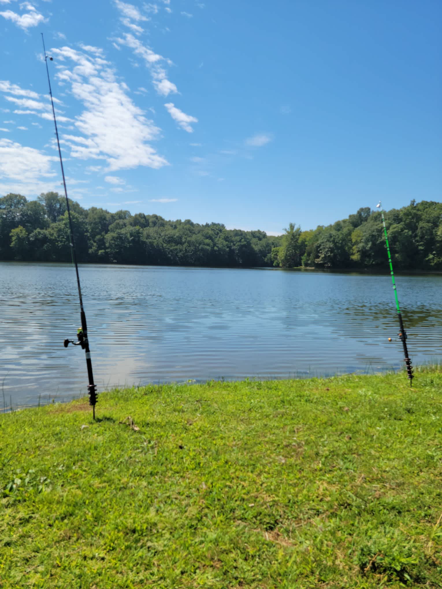 Sherwood Forest Campground