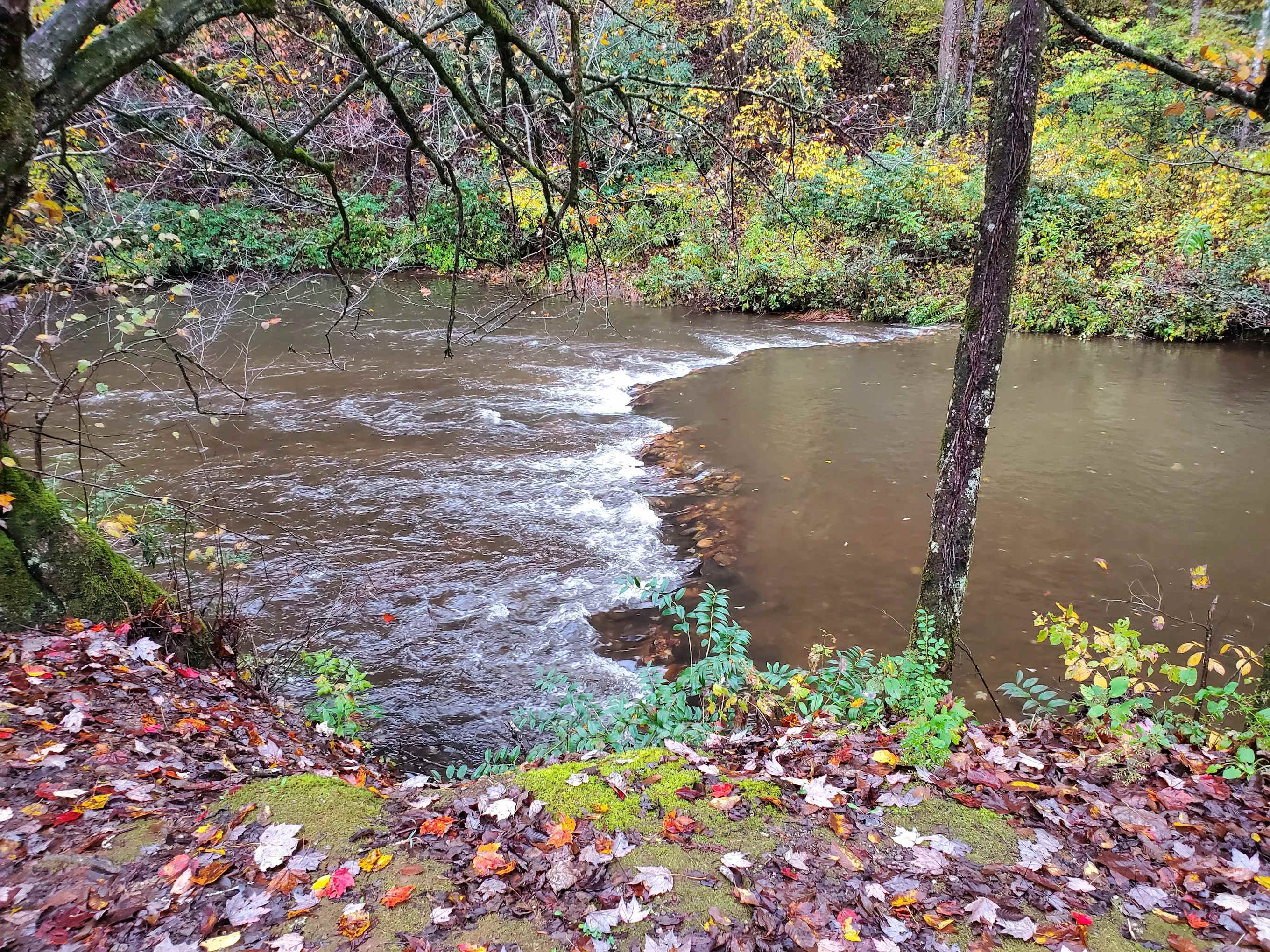 Nichols Campground