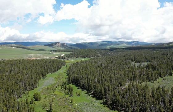 Picture of the site