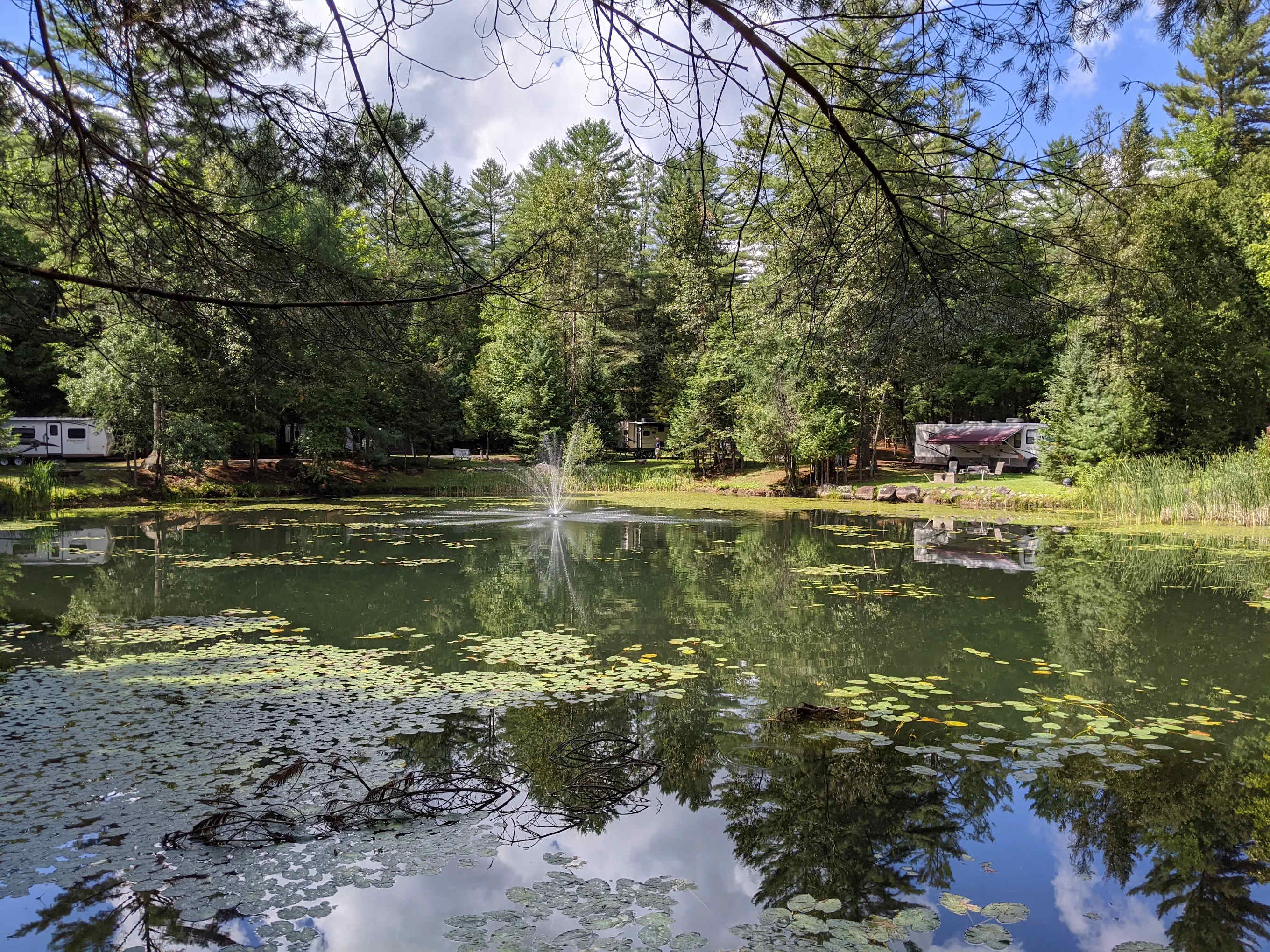 Newcomb Cafe and Campground