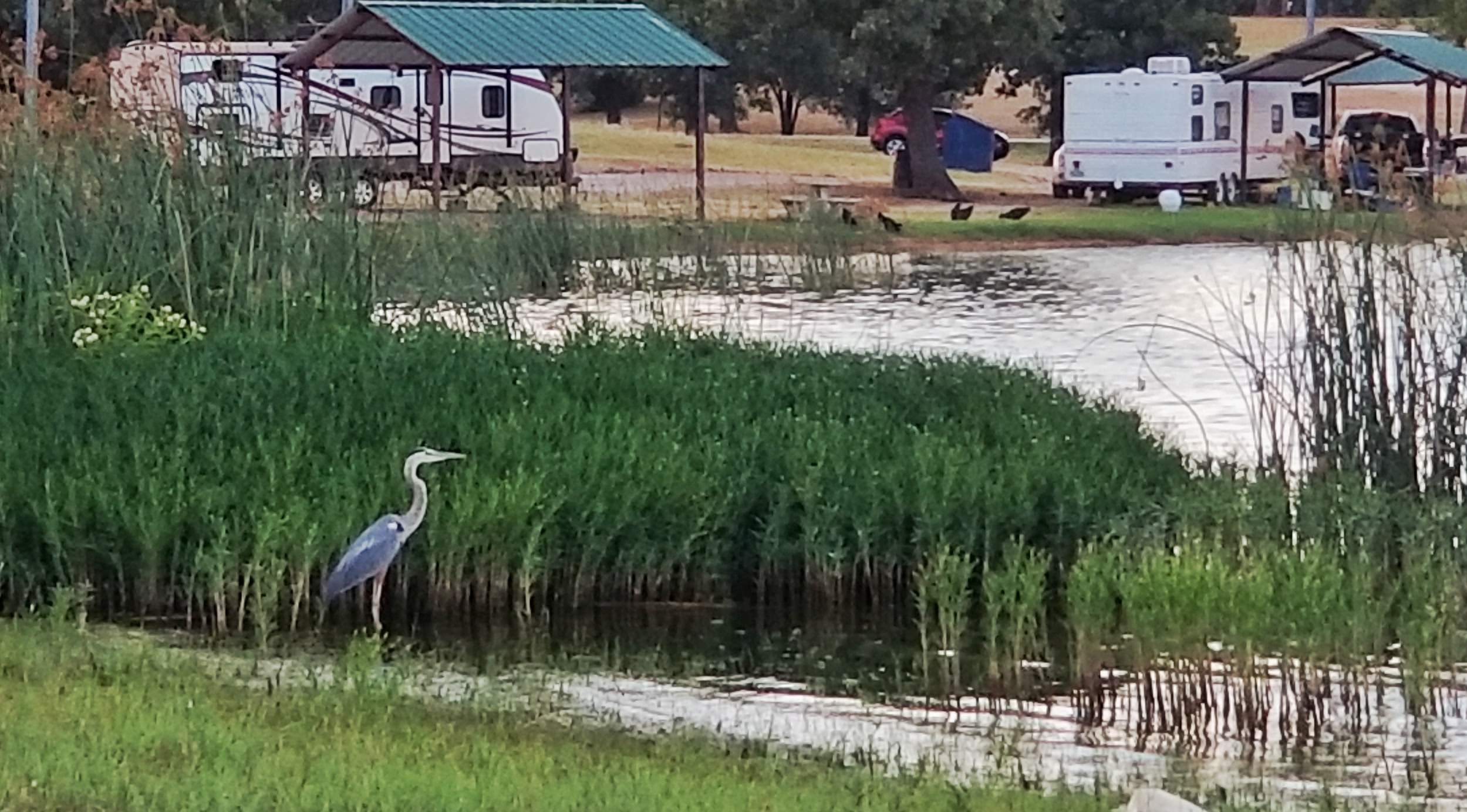 Selma City Park - Lake Amon Carter