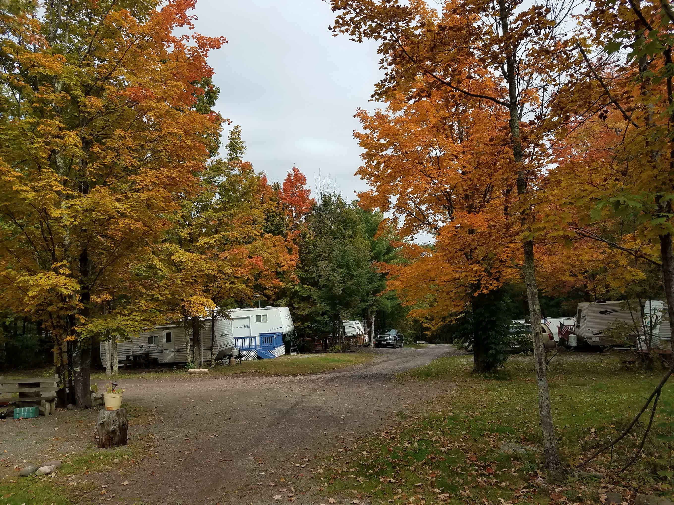 Doherty's Mountain View Campground