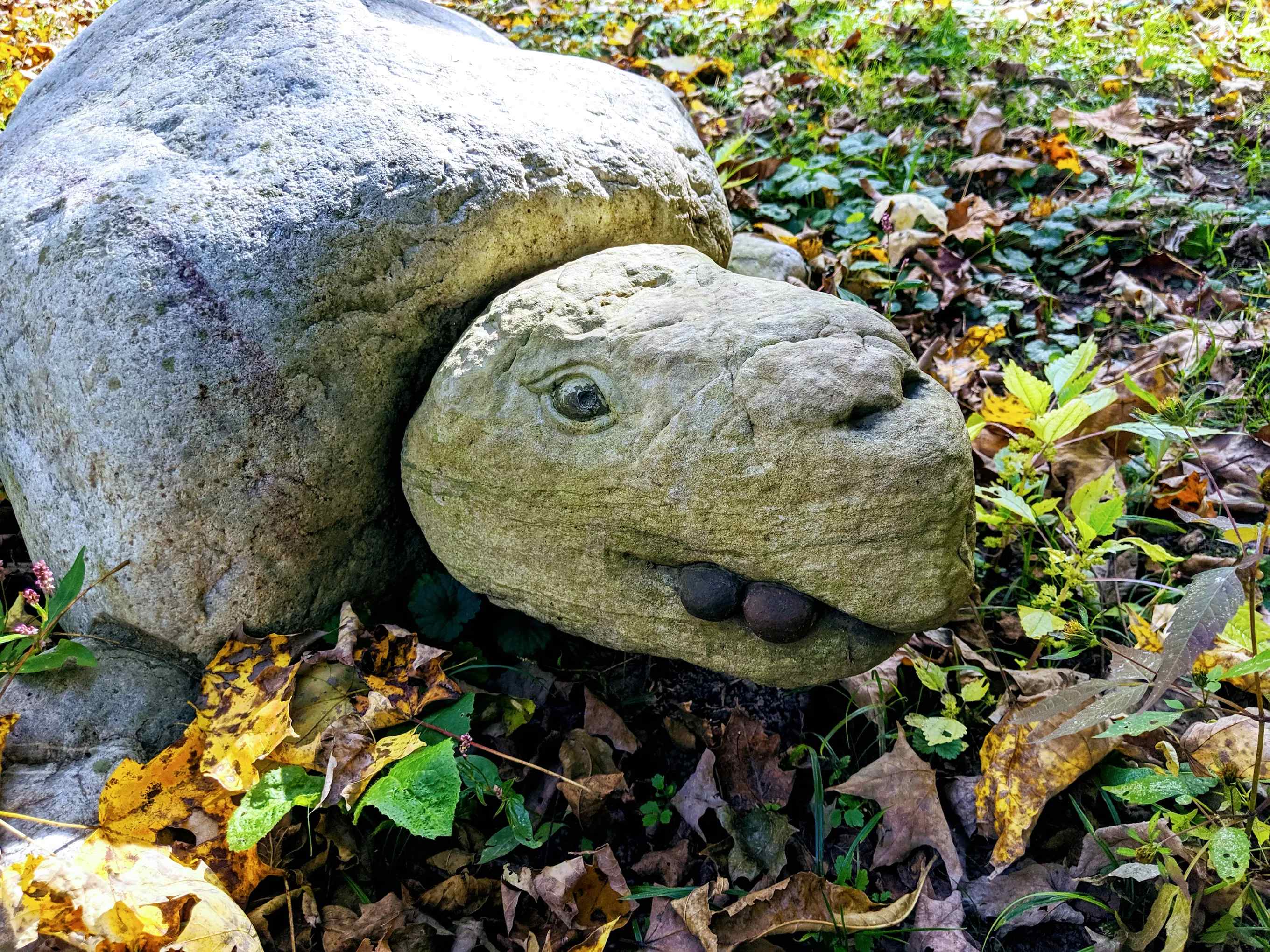 Tohickon Valley Park