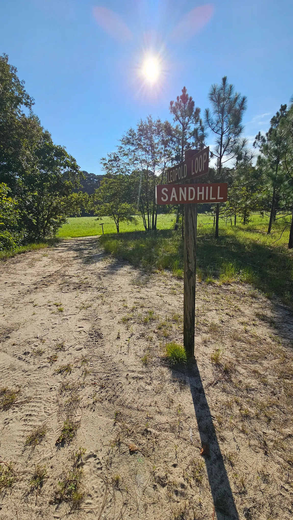 Howell Woods Environmental Learning Center