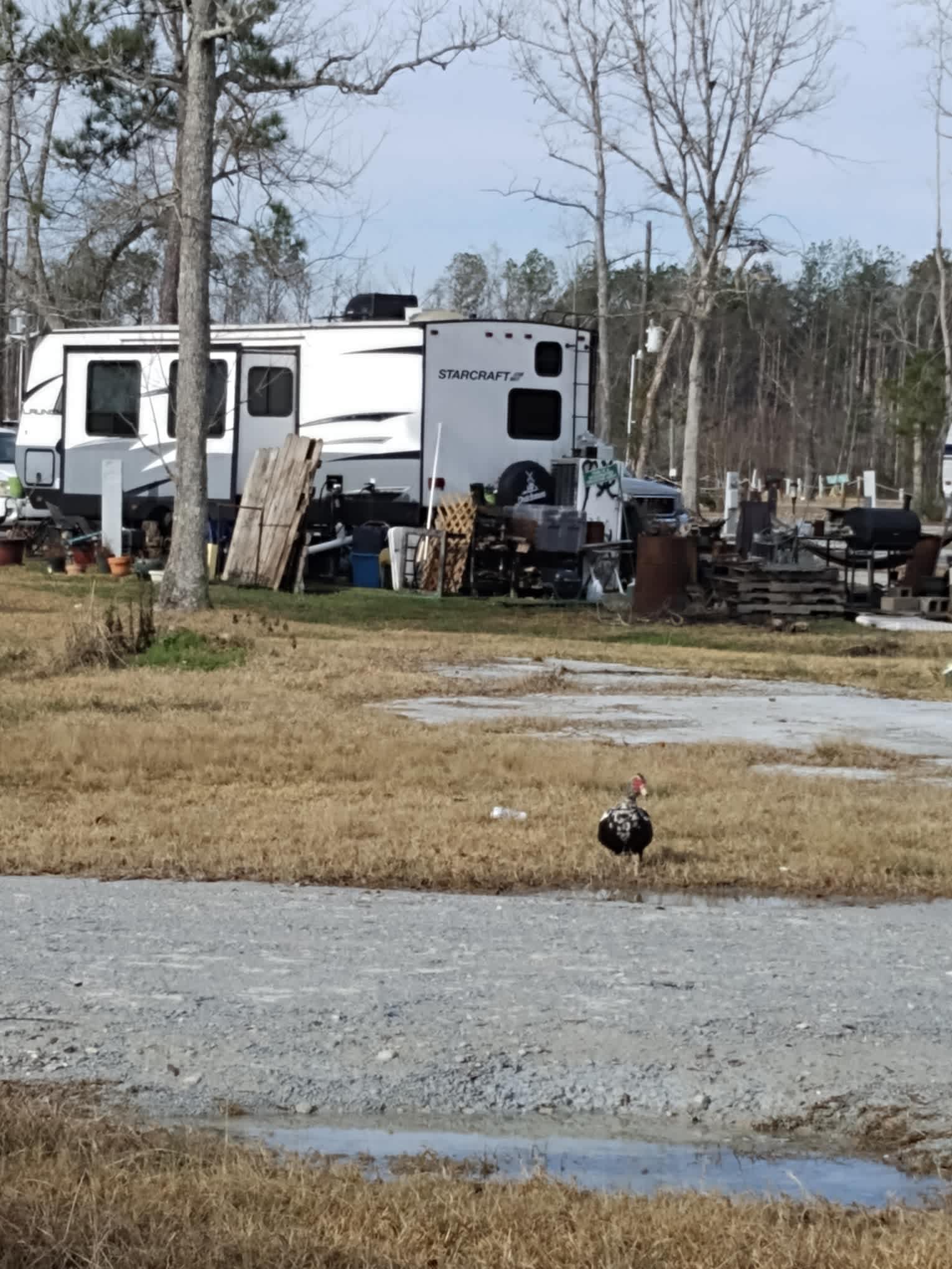 Jellystone Park Lake Charles
