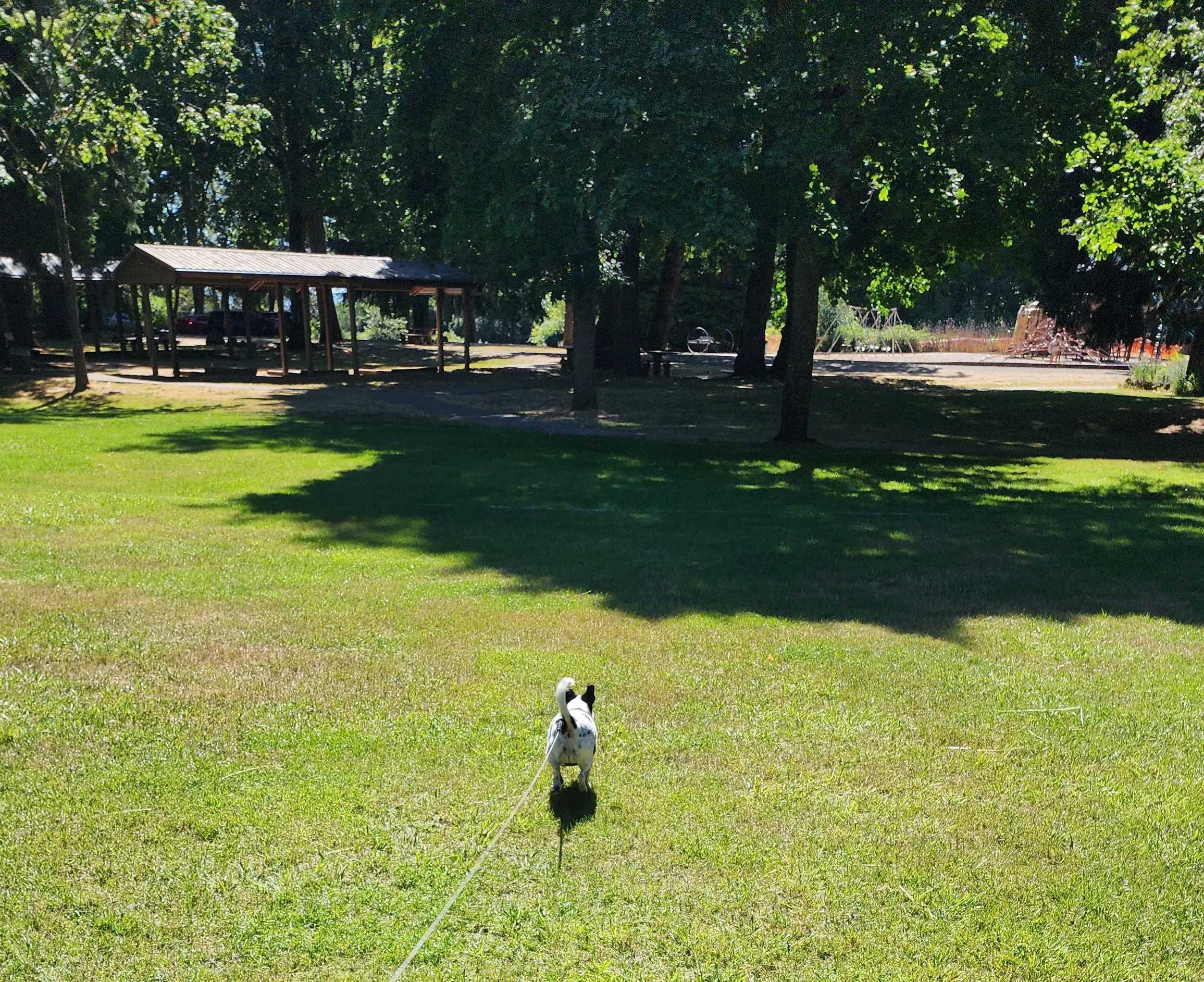 Pioneer Park