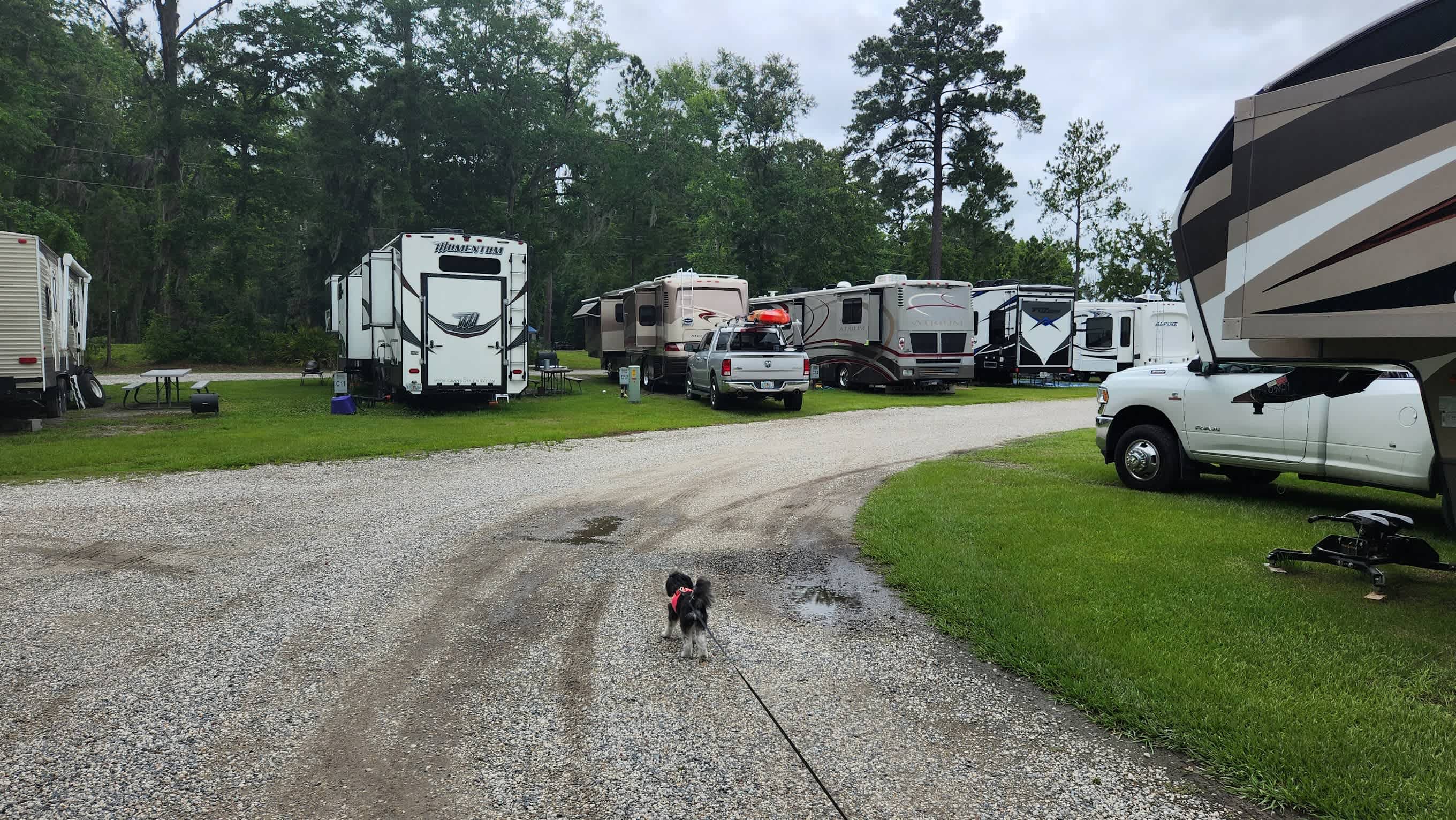 Walkabout Camp and RV Park